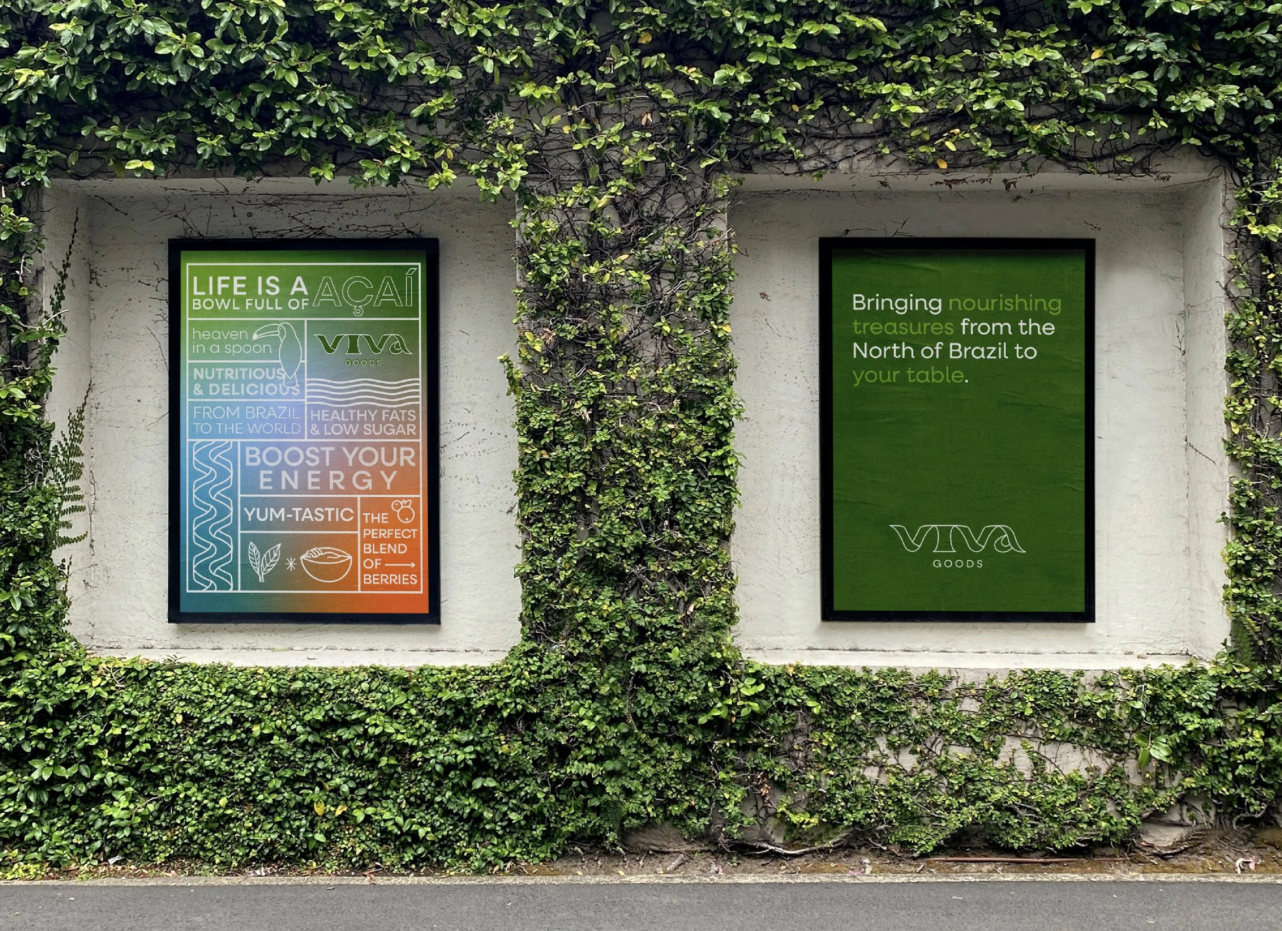 Two framed advertising posters on a white wall surrounded by green ivy plants. The left poster has colorful text about acai berries and their health benefits. The right poster has a green background with white and green text about bringing nourishing treasures from North of Brazil to your table.