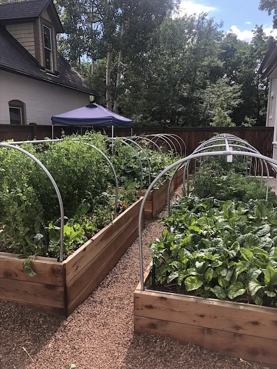Garden Planning at The Table Public House