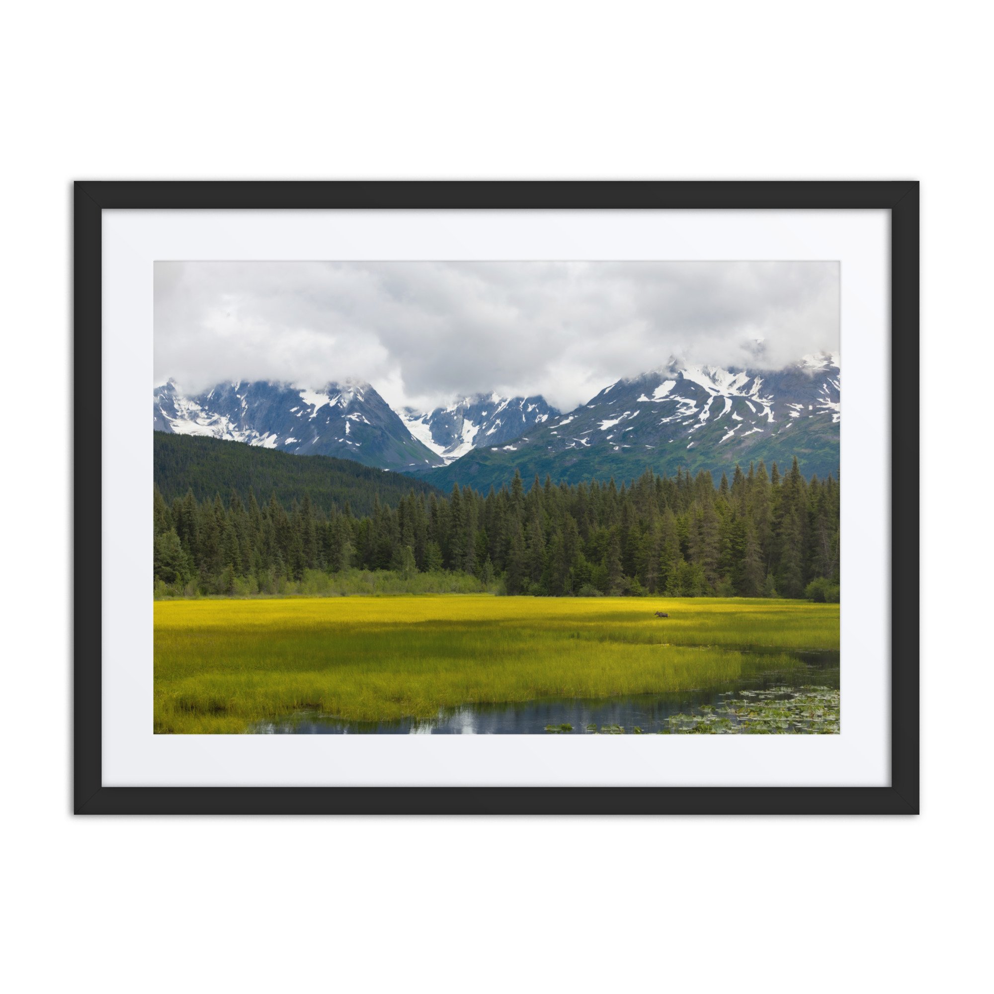 Moose Bog