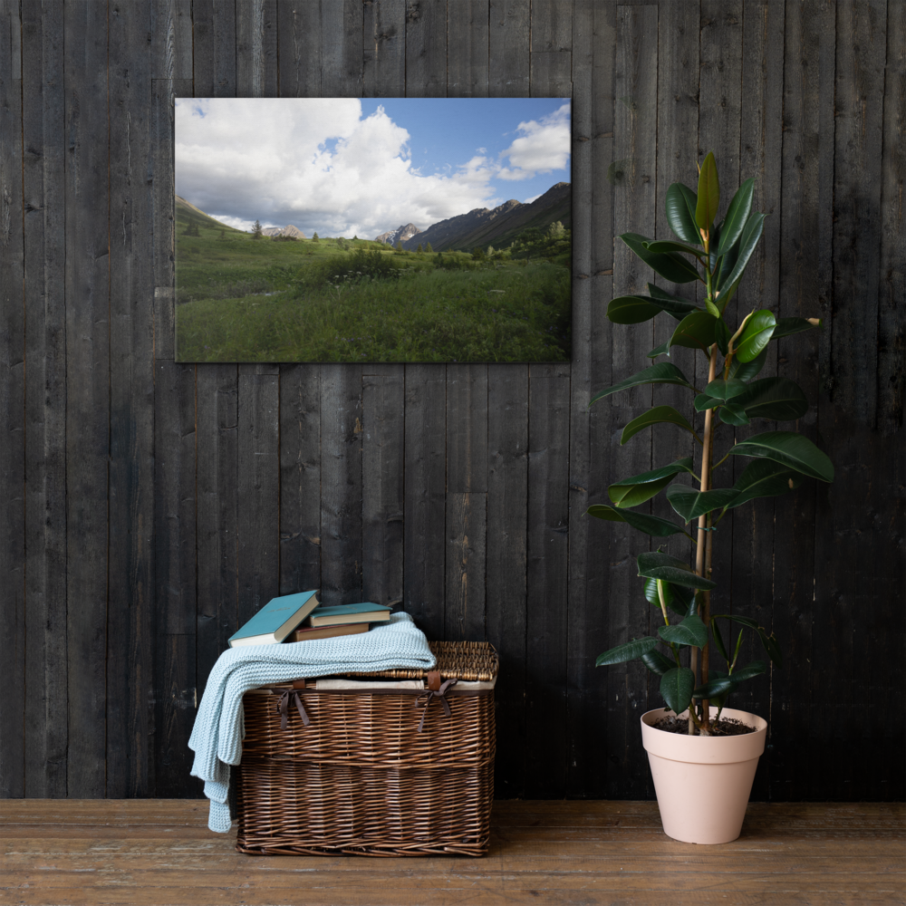 thin-canvas-(in)-24x36-front-6a6b3d00c9929.png