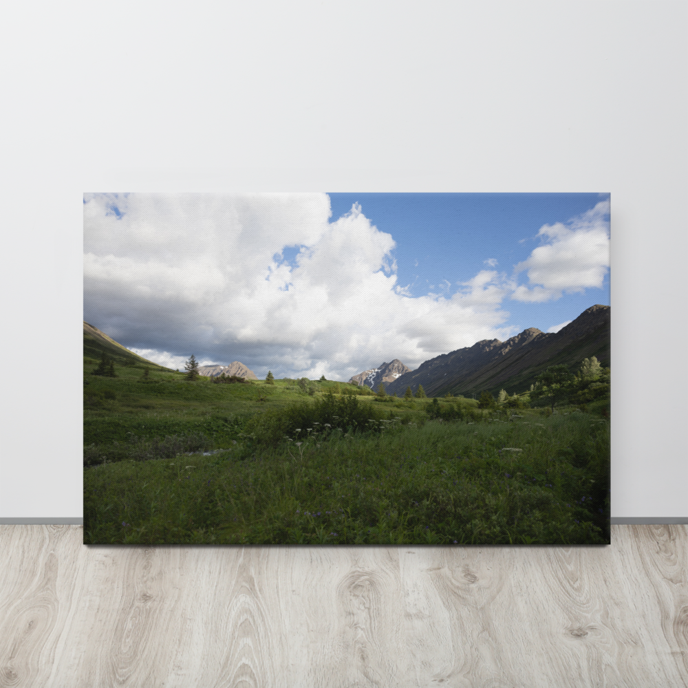 thin-canvas-(in)-24x36-front-6a6b3d00c9949.png