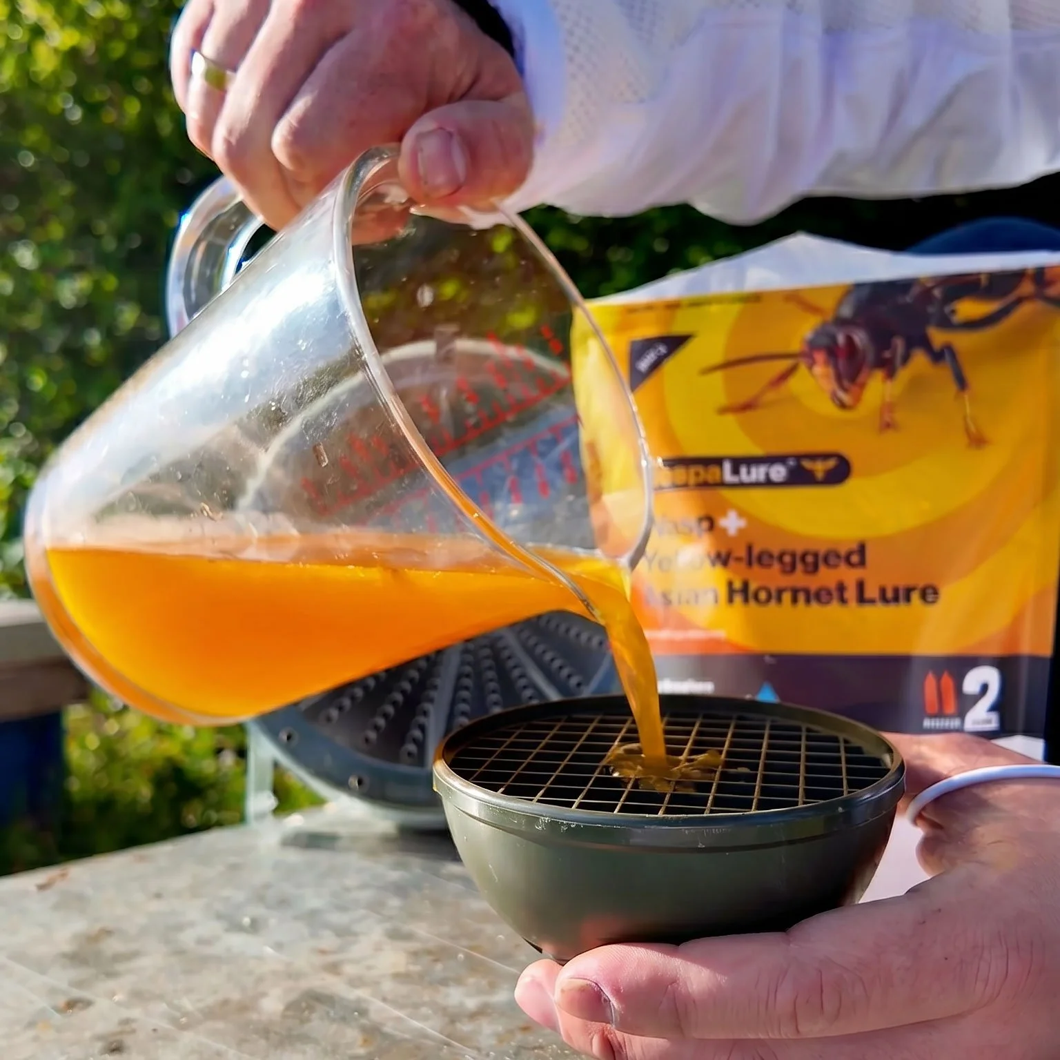 Mixing Vespalure Wasp & Yellow-legged Asian Hornet Lure