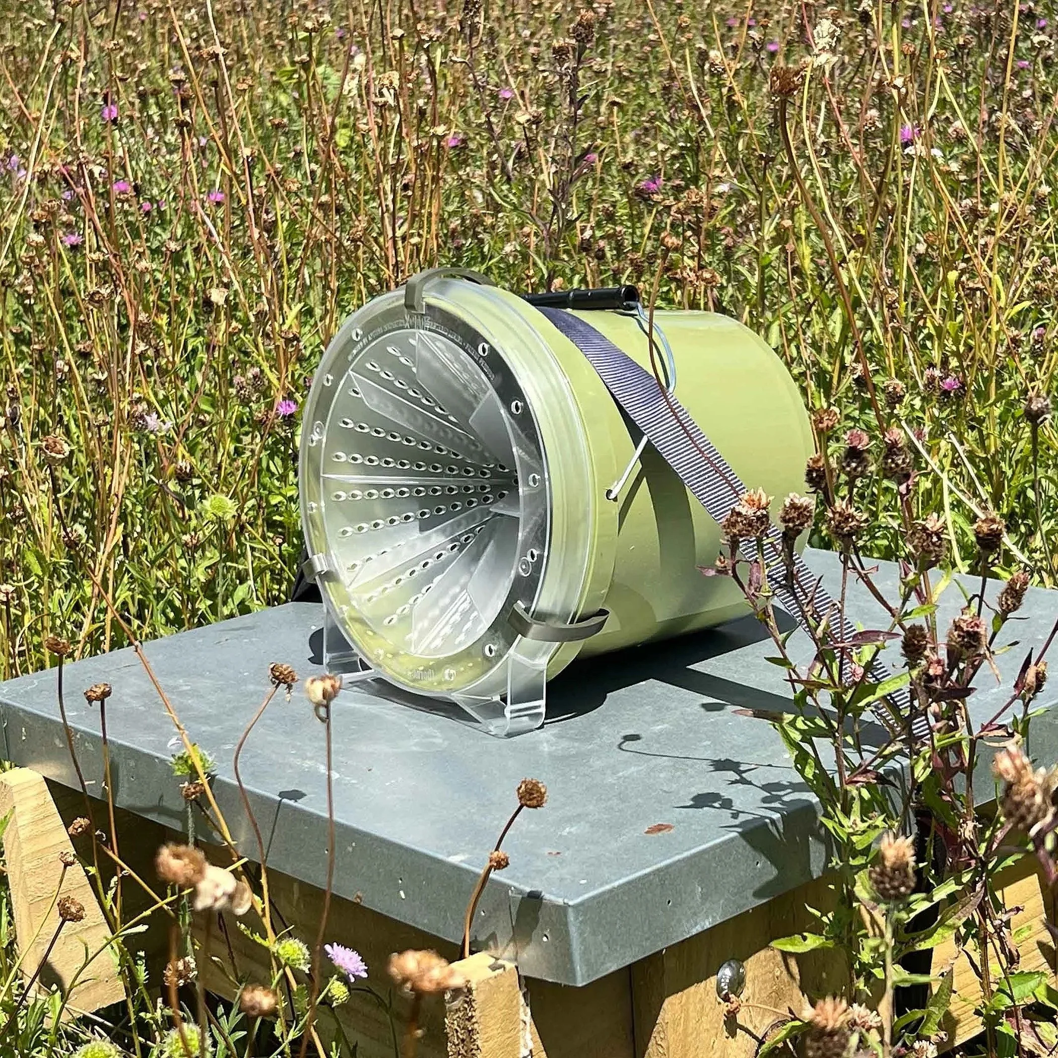 Yelloe-legged Asian Hornet trap deployed