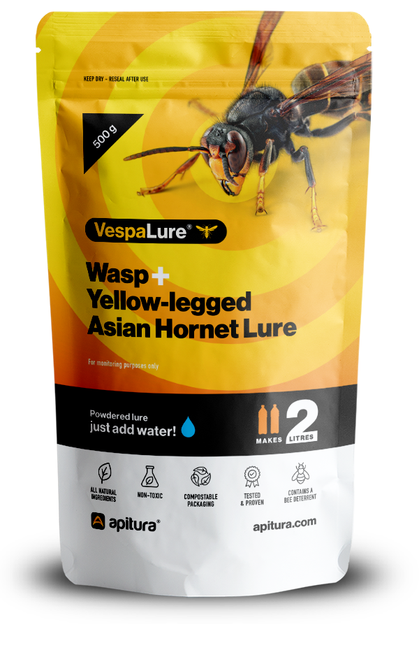 Asian hornet bait