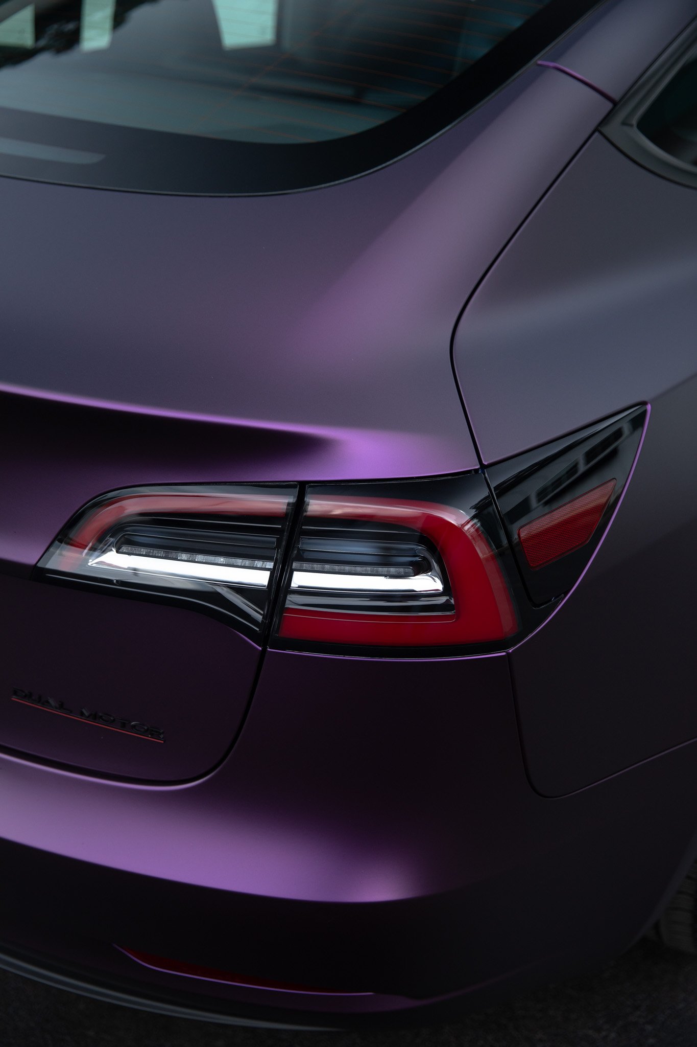 Q_Photo-291 (Purple Model 3).jpg