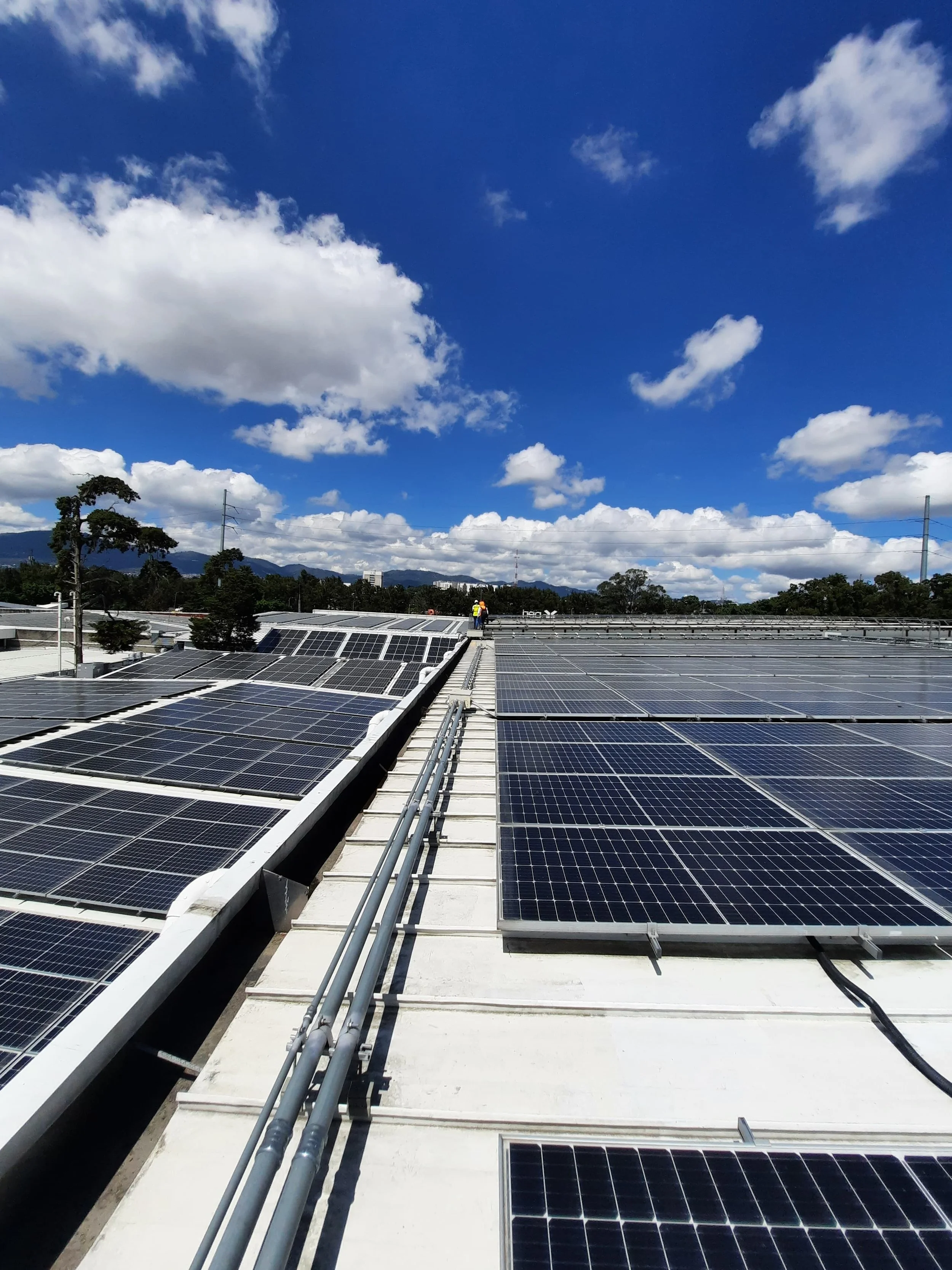 WhatsApp Image 2025-02-19 at 12.10.39 PM.jpeg