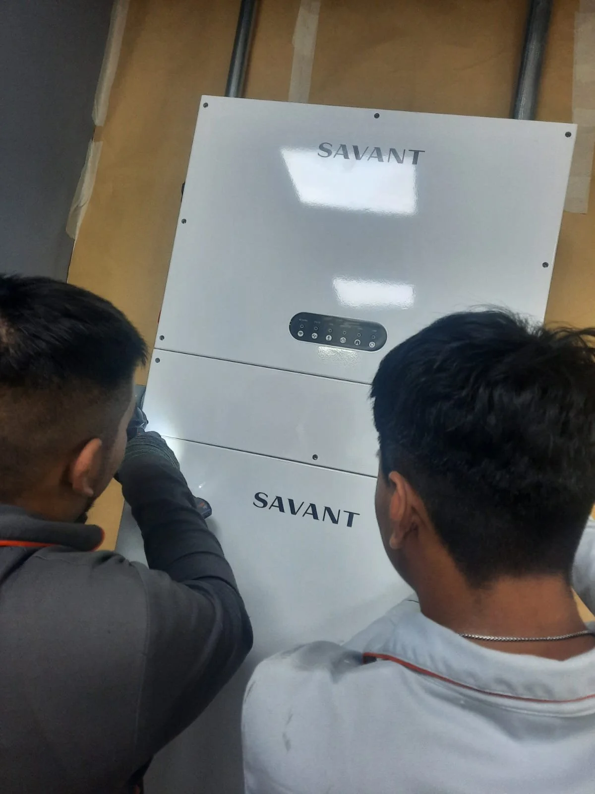 Técnicos y Savant.jpeg