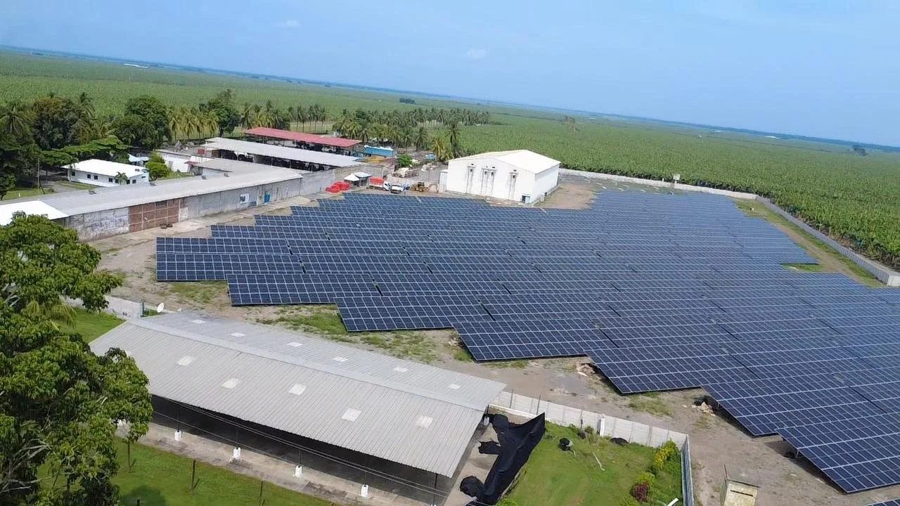 Imagen de WhatsApp 2025-11-02 a las 15.49.16_51a9451f.jpg