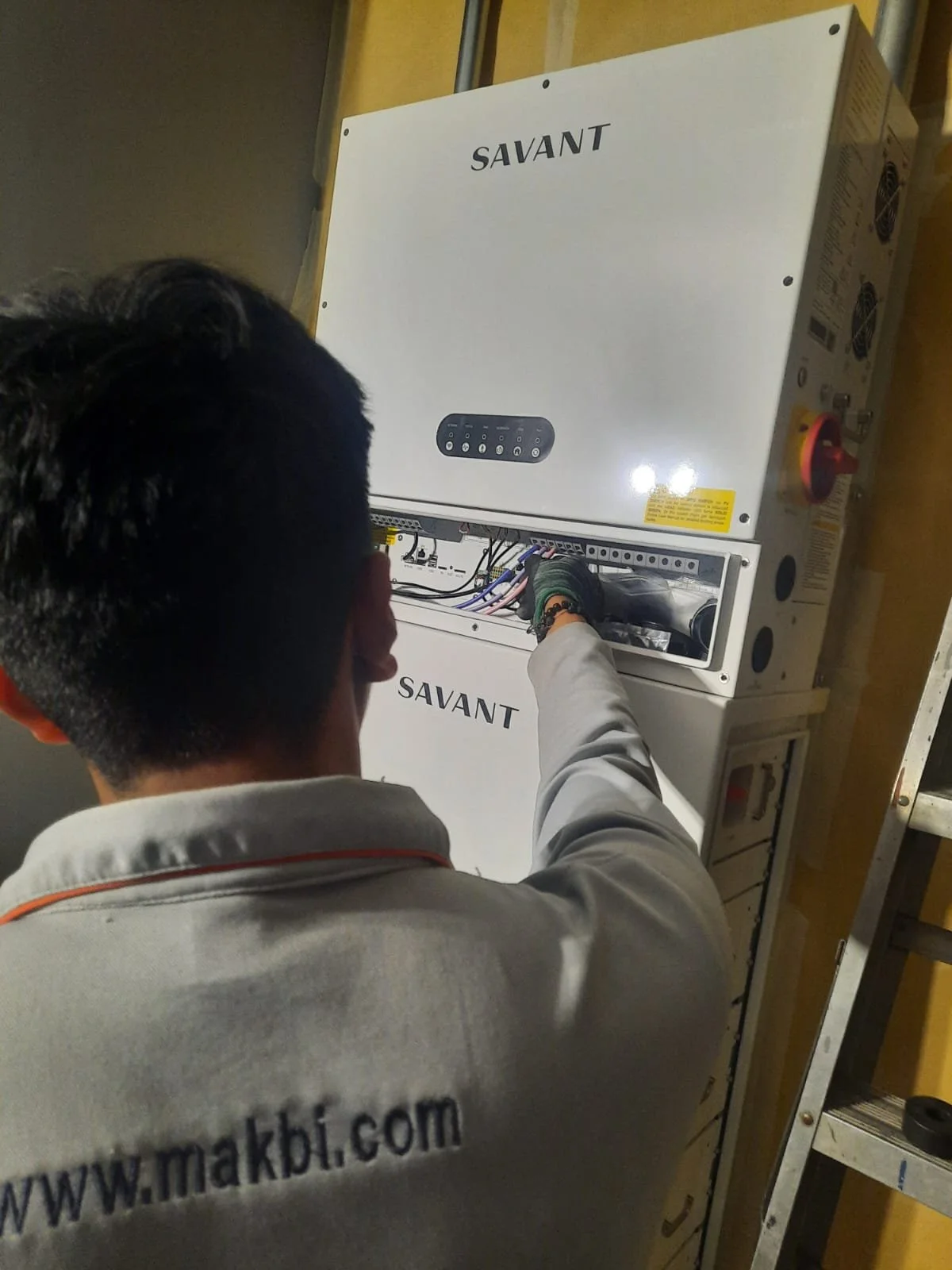 Técnico y Savant.jpeg