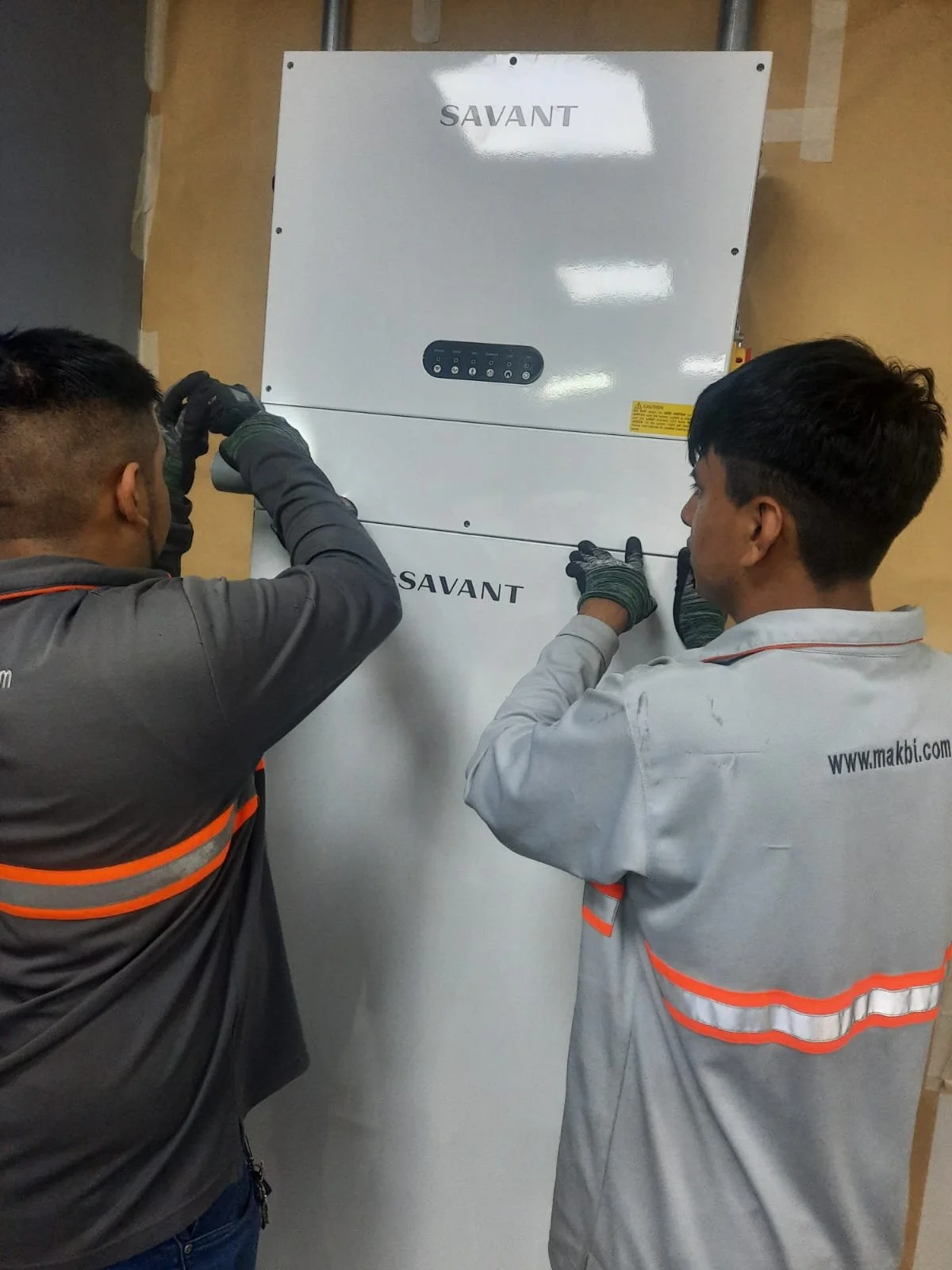 Técnicos y savant 2.jpeg