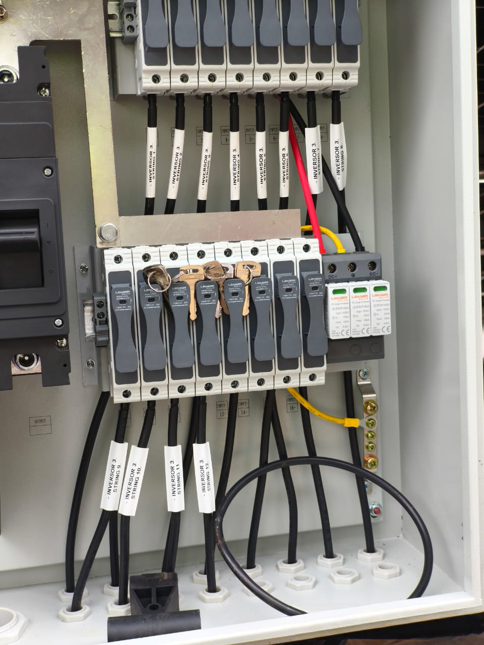 WhatsApp Image 2025-11-04 at 9.11.37 AM.png