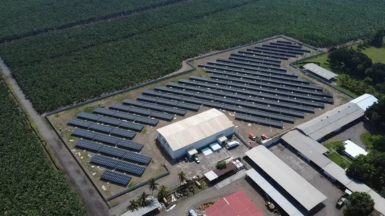 WhatsApp Image 2025-11-04 at 12.36.11 PM.jpeg