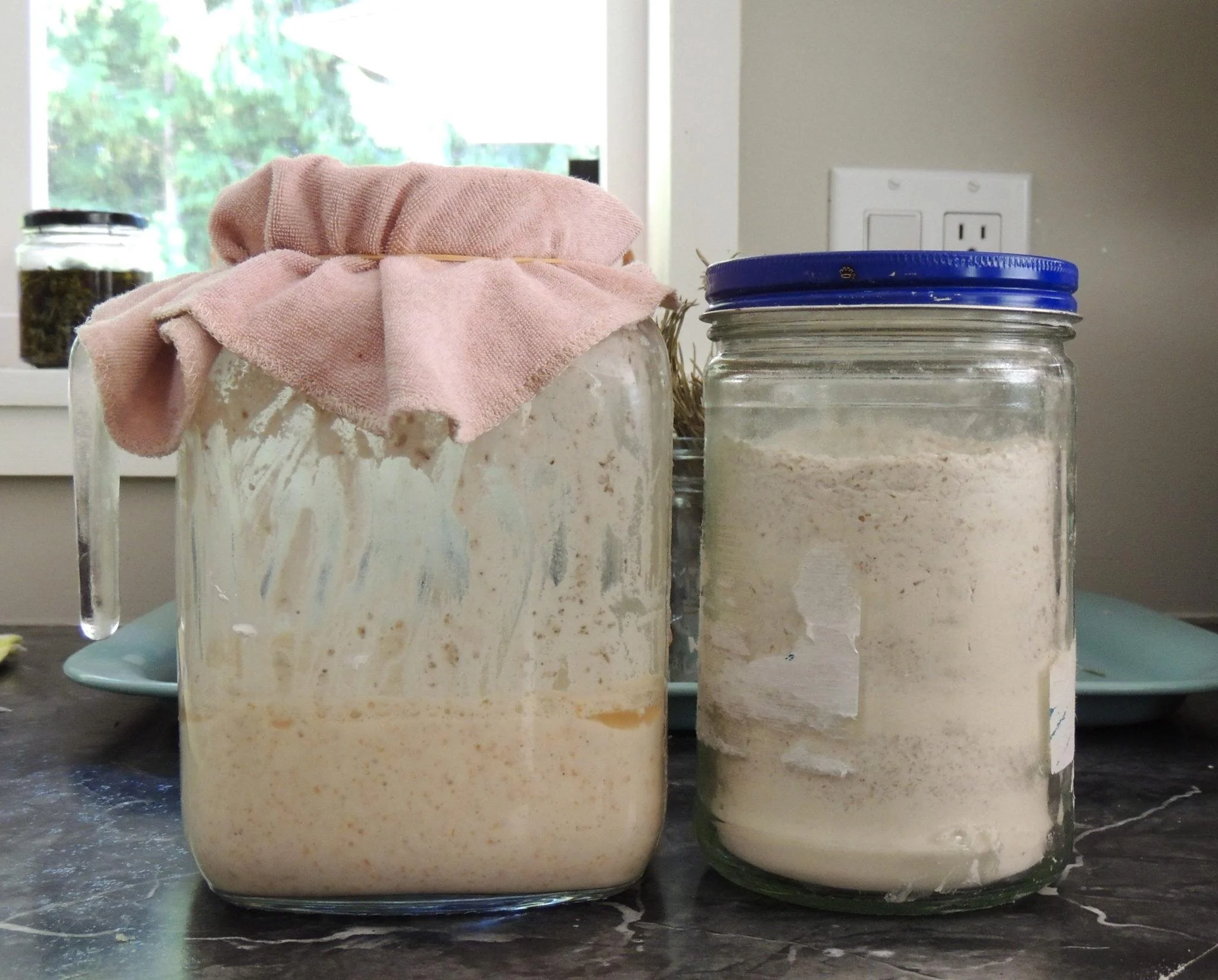 How to Make a Sourdough Starter