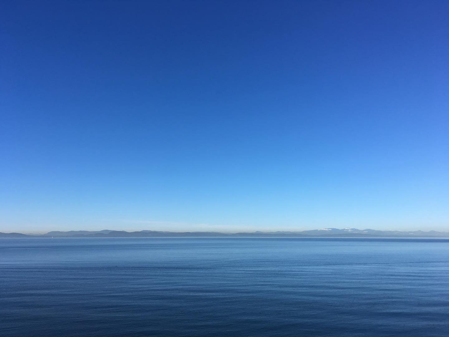 &ldquo;Water is the most life sustaining gift on Mother Earth and is the interconnection among all living beings.&nbsp;Water sustains us, flows between us, within us, and replenishes us.&nbsp;Water is the blood of Mother Earth and, as such, cleanses 