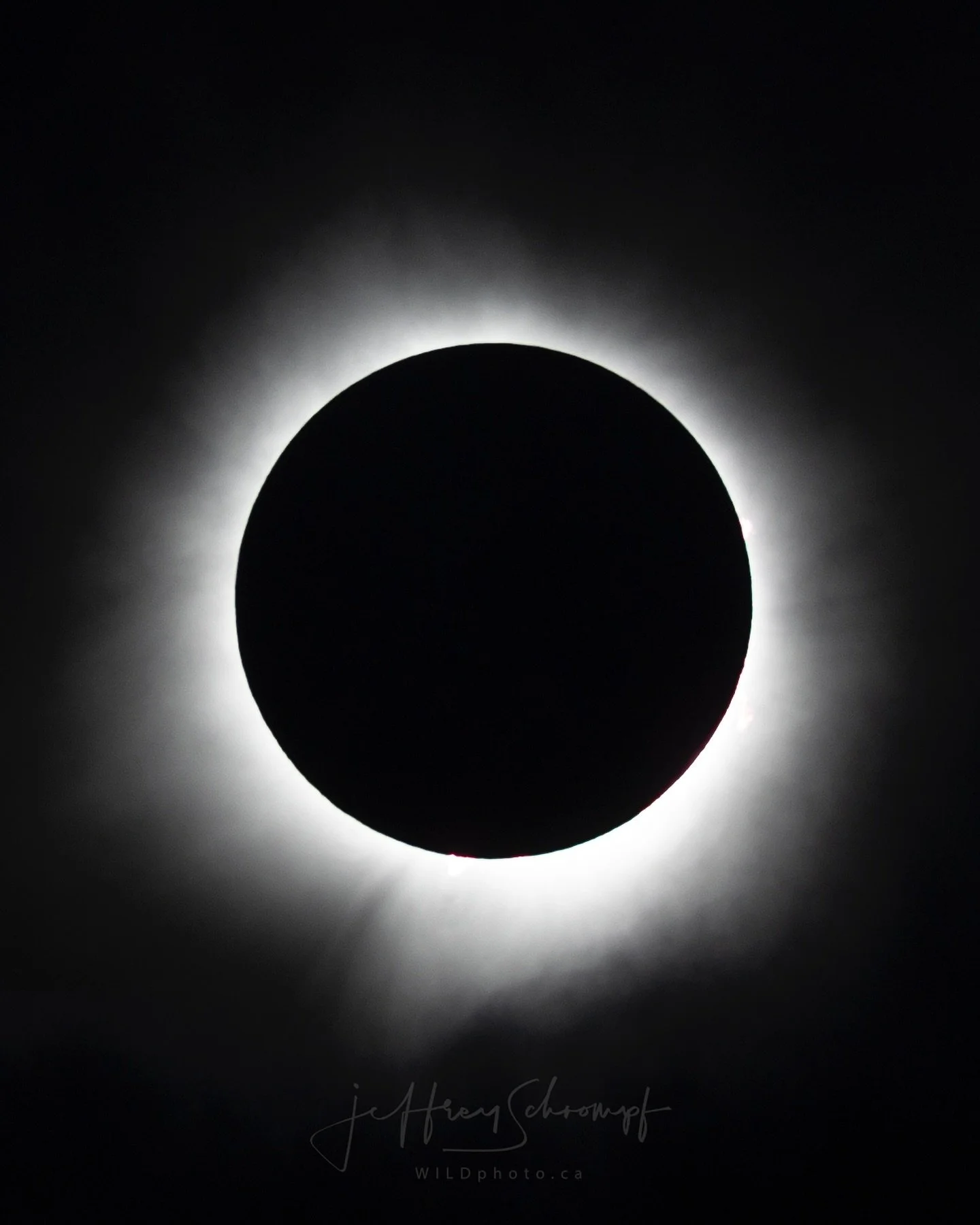 Solar eclipse 
Well this was actually quite cool 😎 
As the moon was passing over in front of the sun. 
Just before it became complete darkness the bird stop chirping. We could hear coyotes in the background howling, seen a bat fly by and an owl hoot