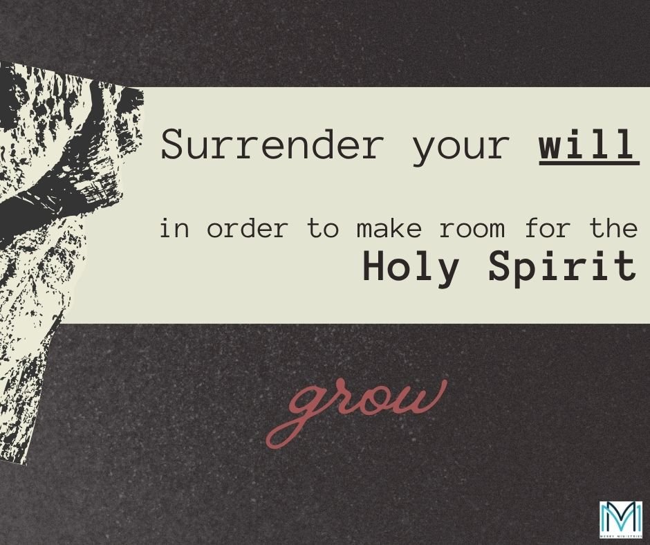 Reminiscent of the growing of a fruit tree, there are actions you may take when pursuing a strong, healthy relationship with God the Father, God the Son, and the Holy Spirit.  Abbey listed out 8 actions for us to take, here's the fifth.