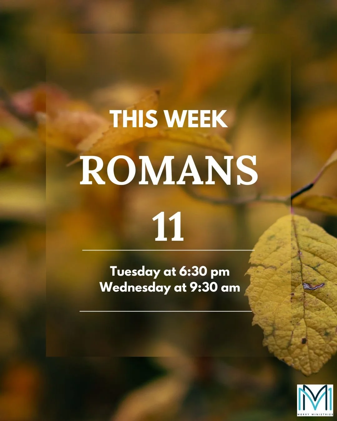 This week, we will be studying Romans 11. The big question Paul poses is this: Has God rejected Israel? That question is still being debated 2000 years later. There are other questions we will look at, such as: Can you lose your salvation? Two hot to