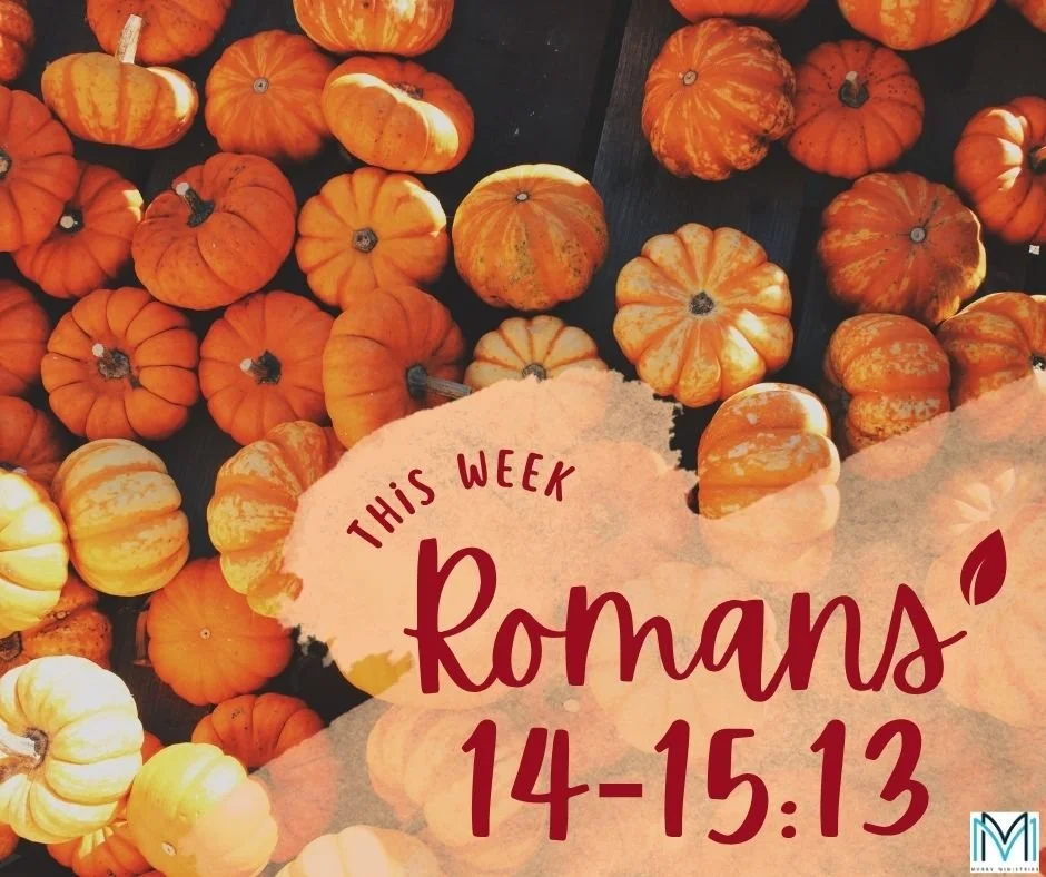 Join us this week as we continue studying Romans. Paul calls all believers, both strong and weak, to welcome one another into the church. This section of his letter provides guidance concerning Christian liberty and unity. He urges believers not to j