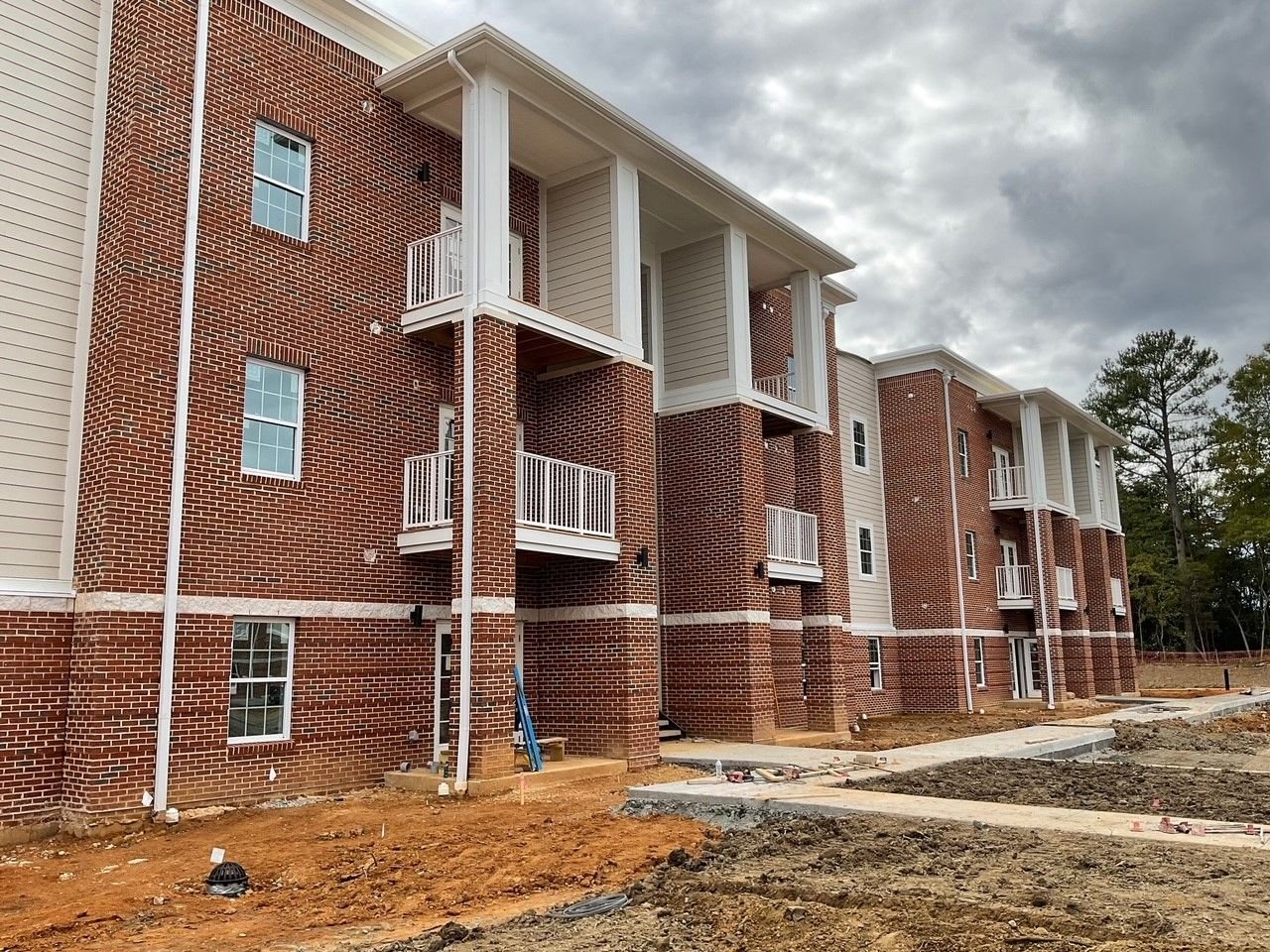 winchester forest 4.jpeg