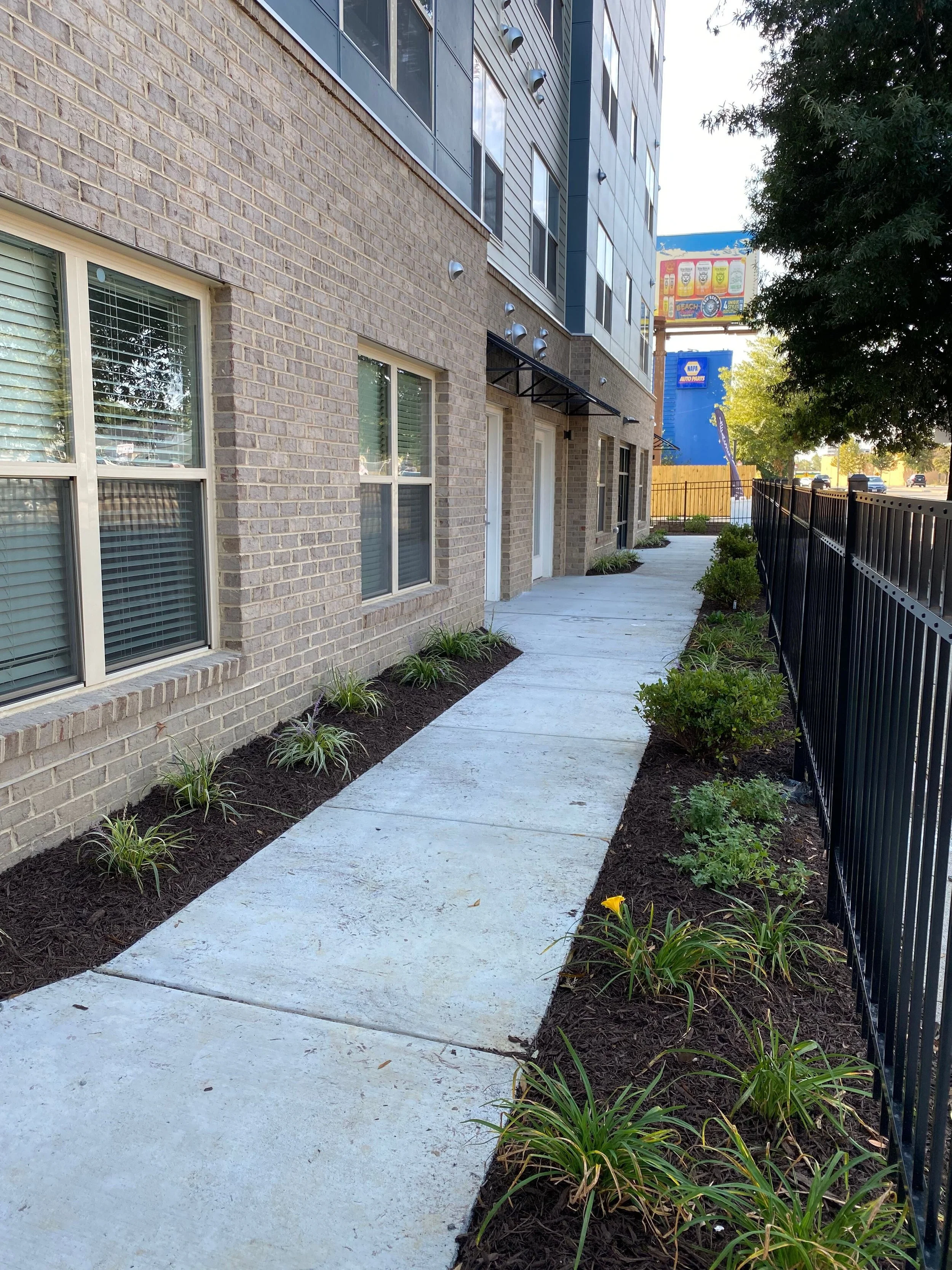 School Street 4.jpeg