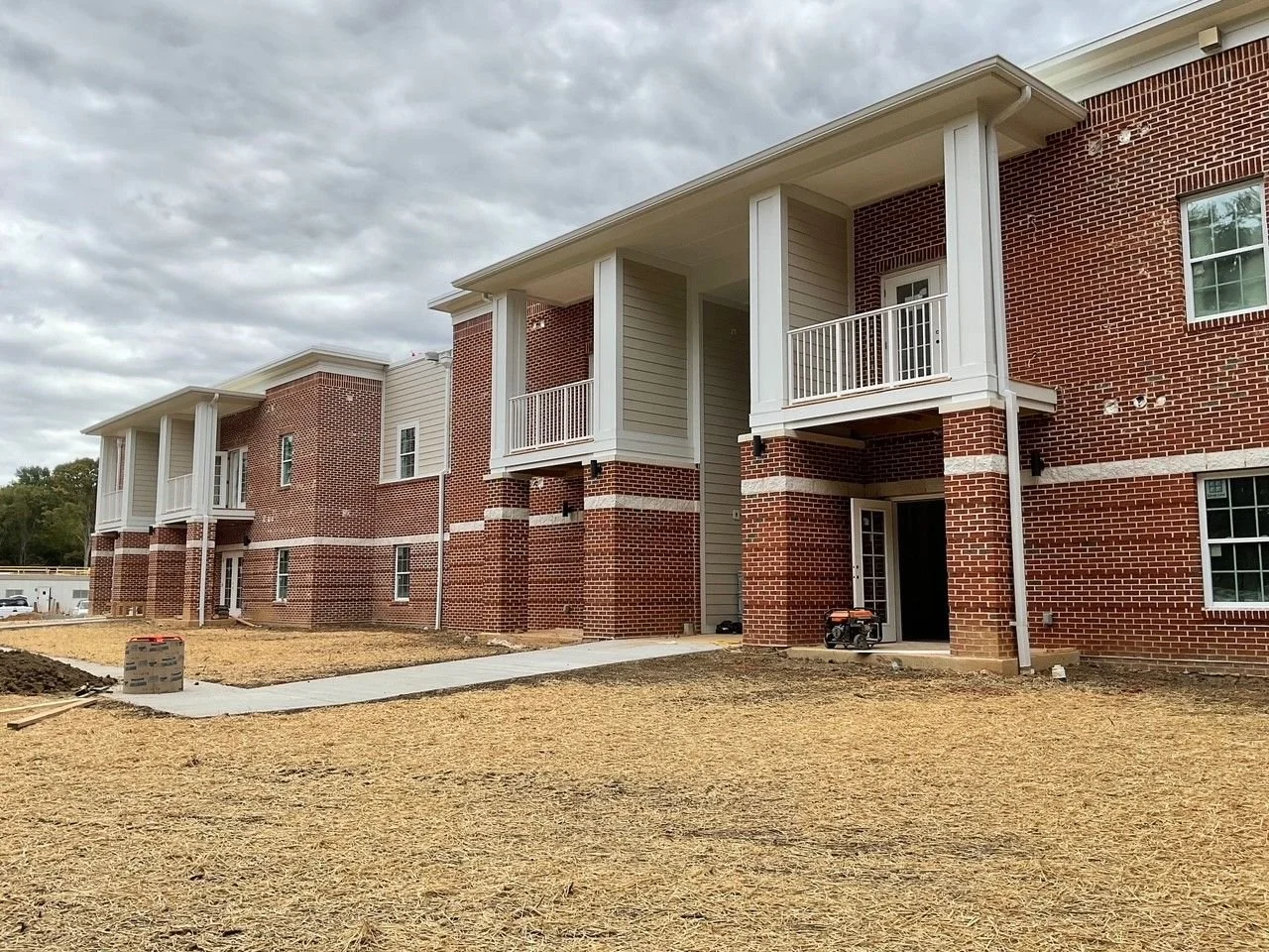 womchester forest 3.jpeg