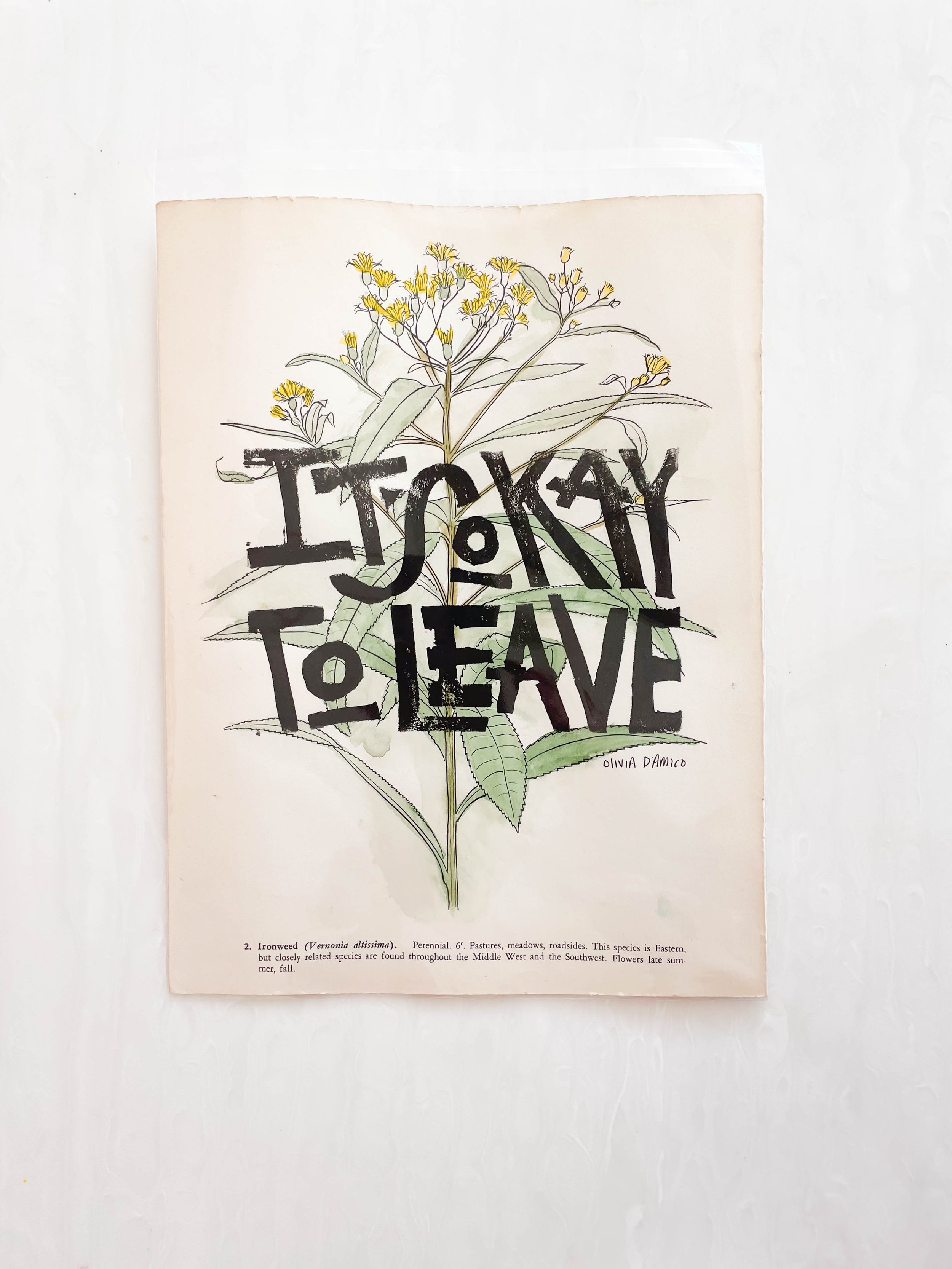 It's Okay to Leave Flower Print