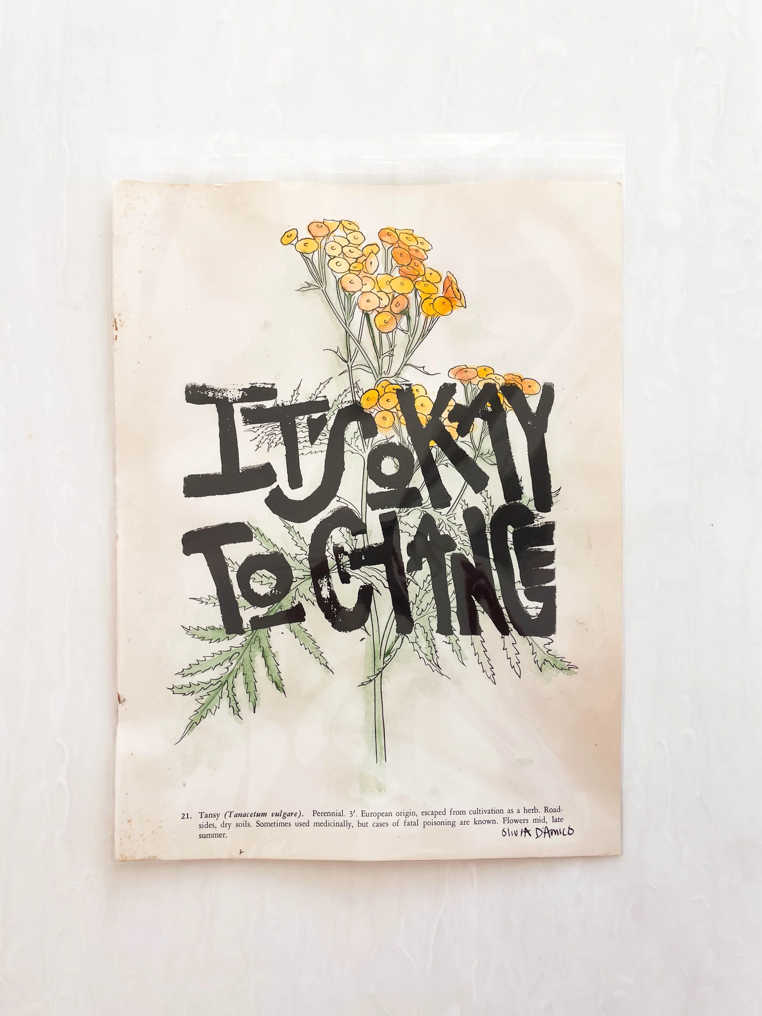 It's Okay to Change Flower Print