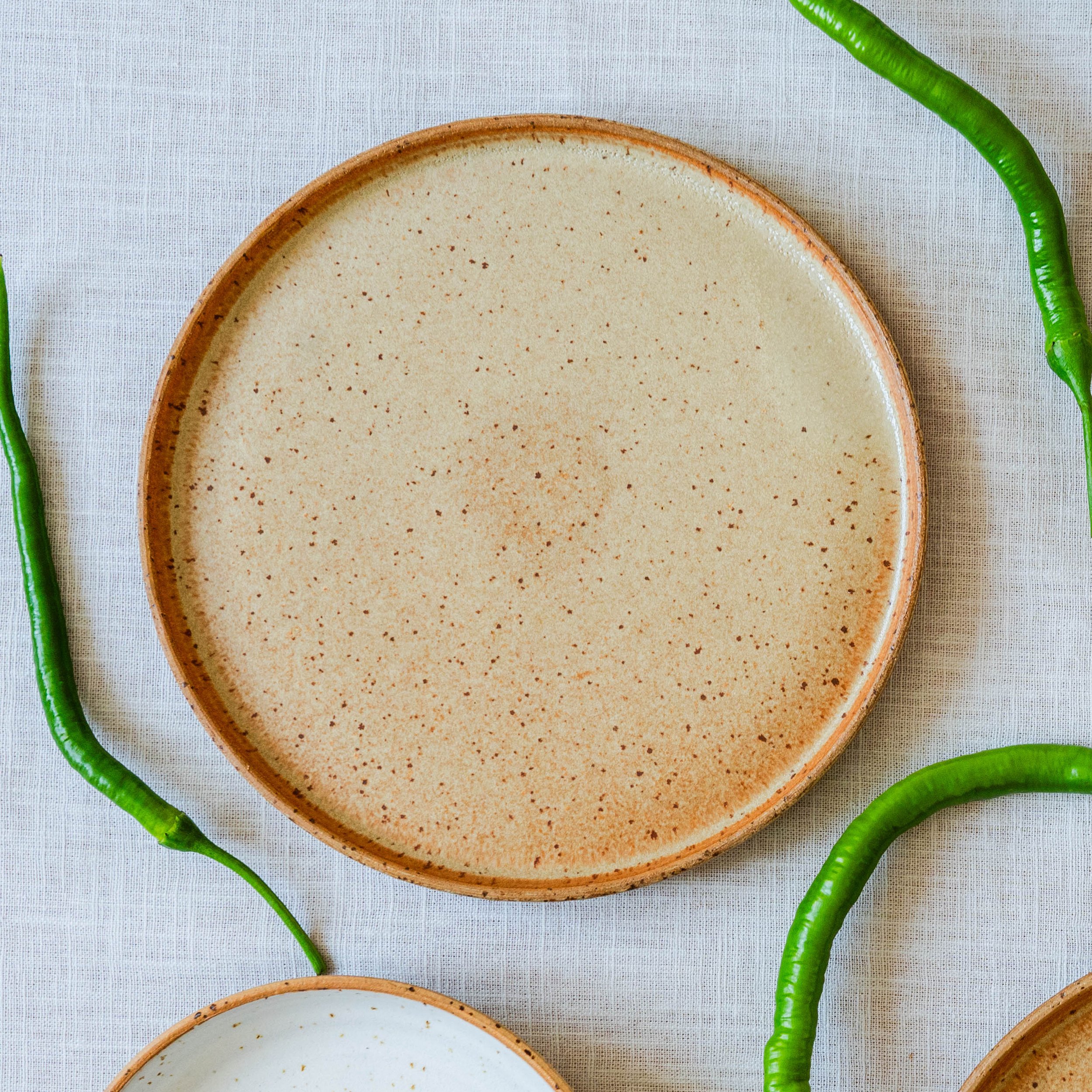 Sand Dinner Plate