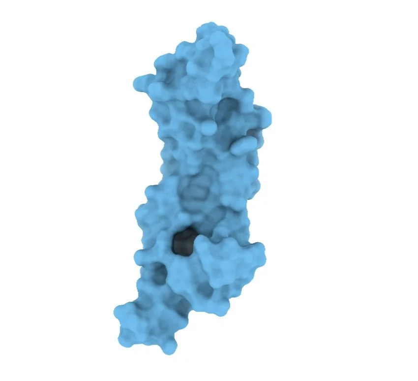 Cofactory and Daresbury Proteins launch AI collaboration to advance Protein Expression Technologies
