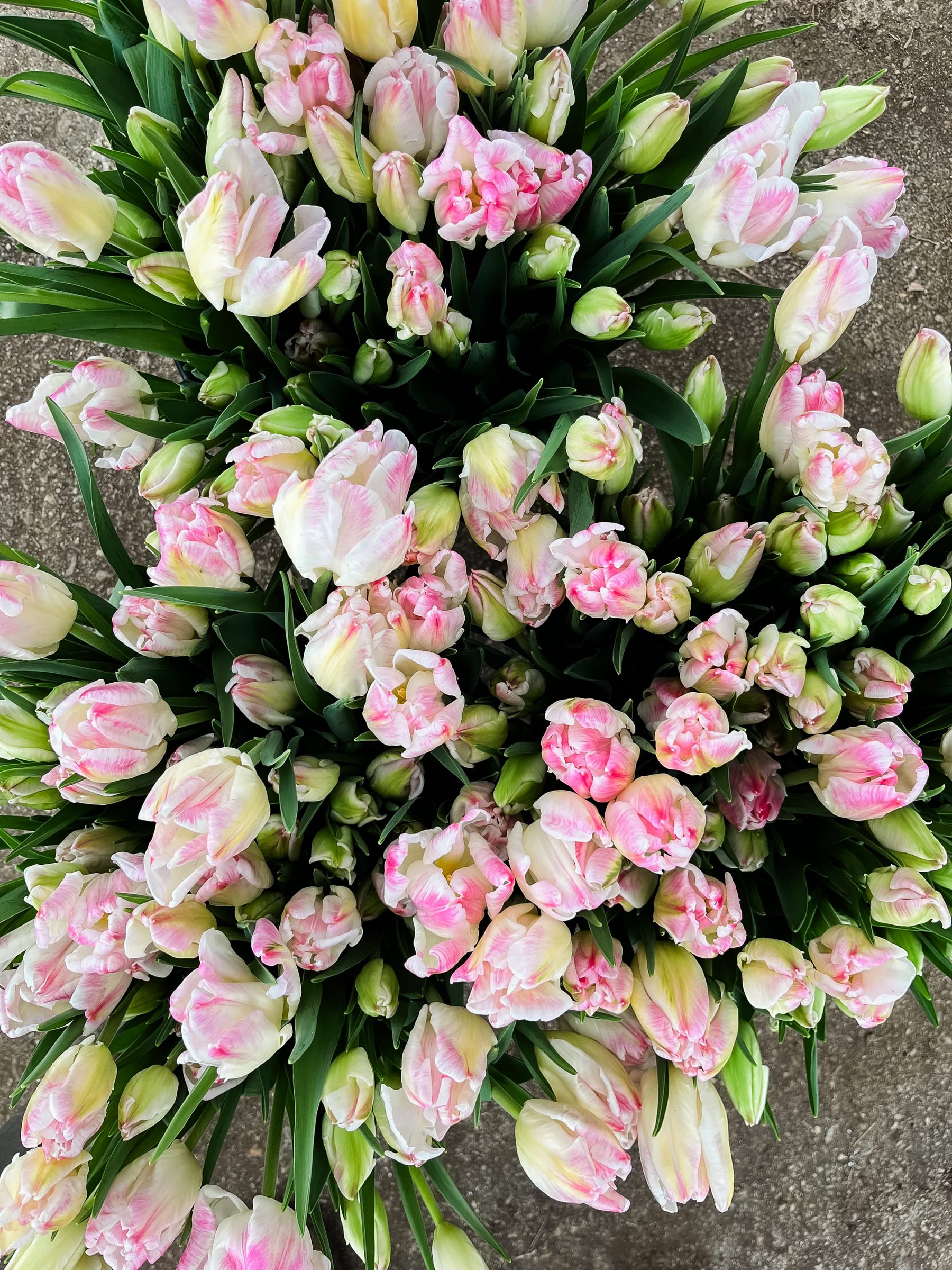 Diddle-And-Zen-Vermont-Wedding-Floral-Designer-Arrangement-Bouquet-Diddle-and-Zen-Vermont-Florist-Tulip-Subscription09.jpg