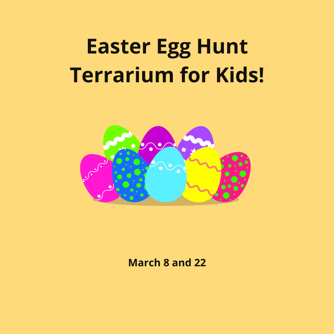 Easter Egg Hunt Terrarium for Kids! - Starting March 8