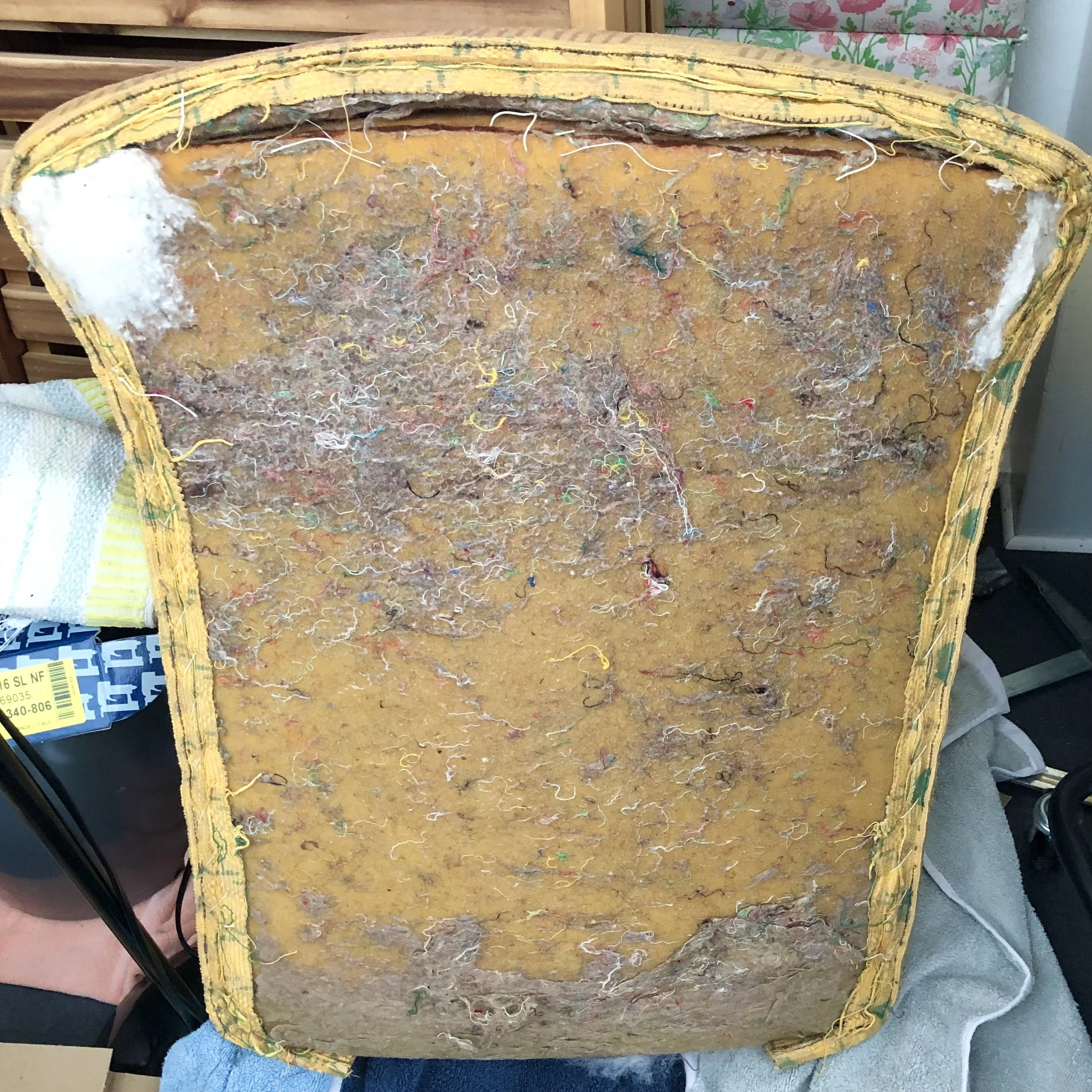 Gammal skruttig plymå.