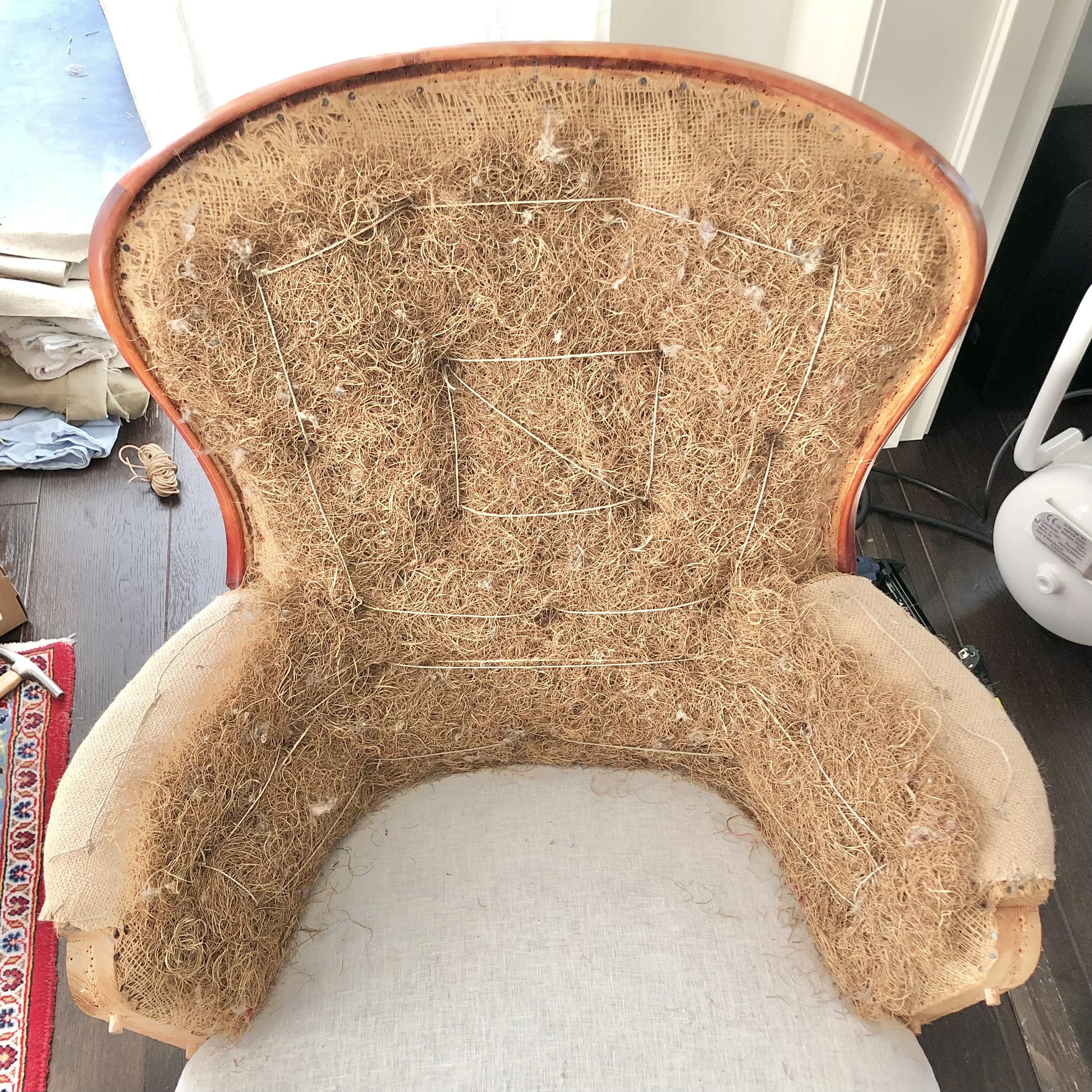 Tidigare klen ryggstoppning av krollsplint.