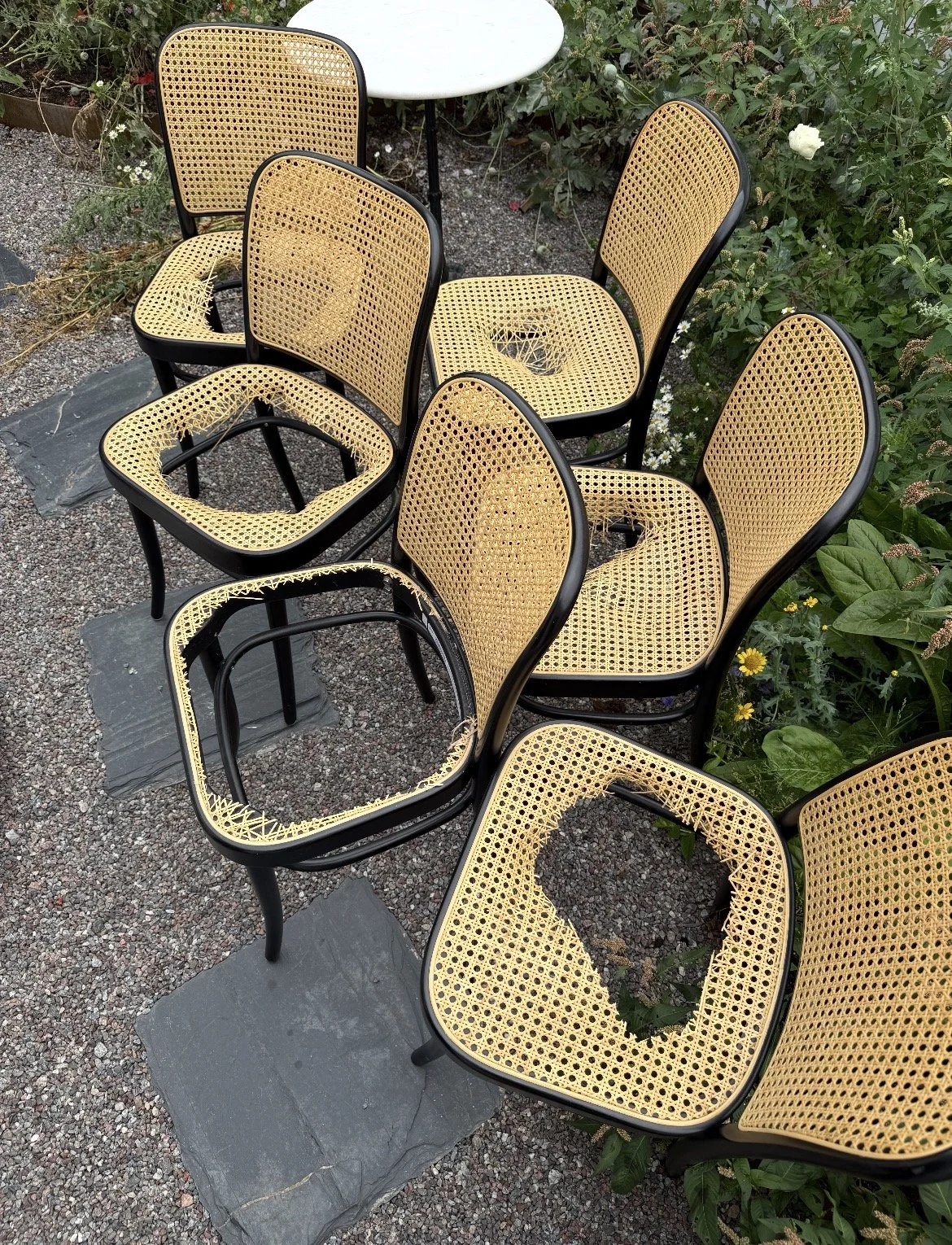 INNAN; Sex trasiga Ton-stolar