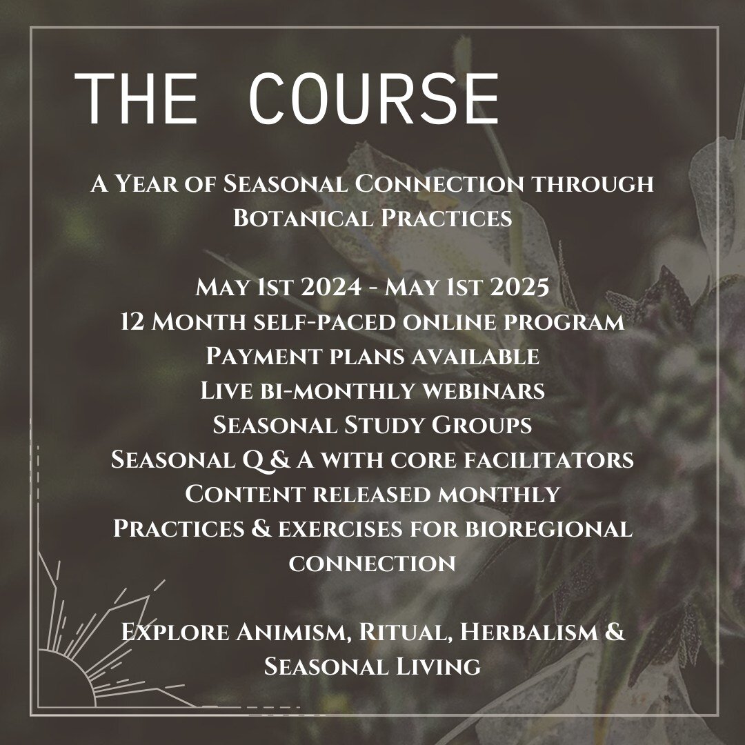 RITUAL HERBALISM 
Year Long Online Immersion 
Payment Plans Available 

Fostering Bioregional Connection through Botanical Practice

This course follows the Wheel of the Year, however it is not only for temperate regions and it does not just overlay 