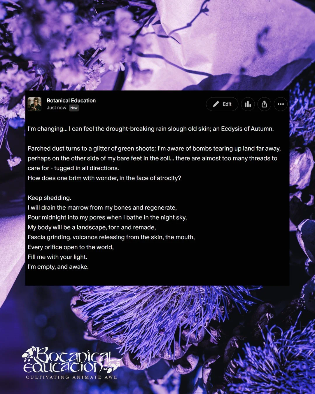 The Herbal Industry is Shifting... 
And so am I. 

There are new things on the horizon for me, 
Big changes, Big moves, 
Aligned with what I believe ethically for the Herbal Industry, 
Aligned with my Quality of Life. 

Full write up available (free)