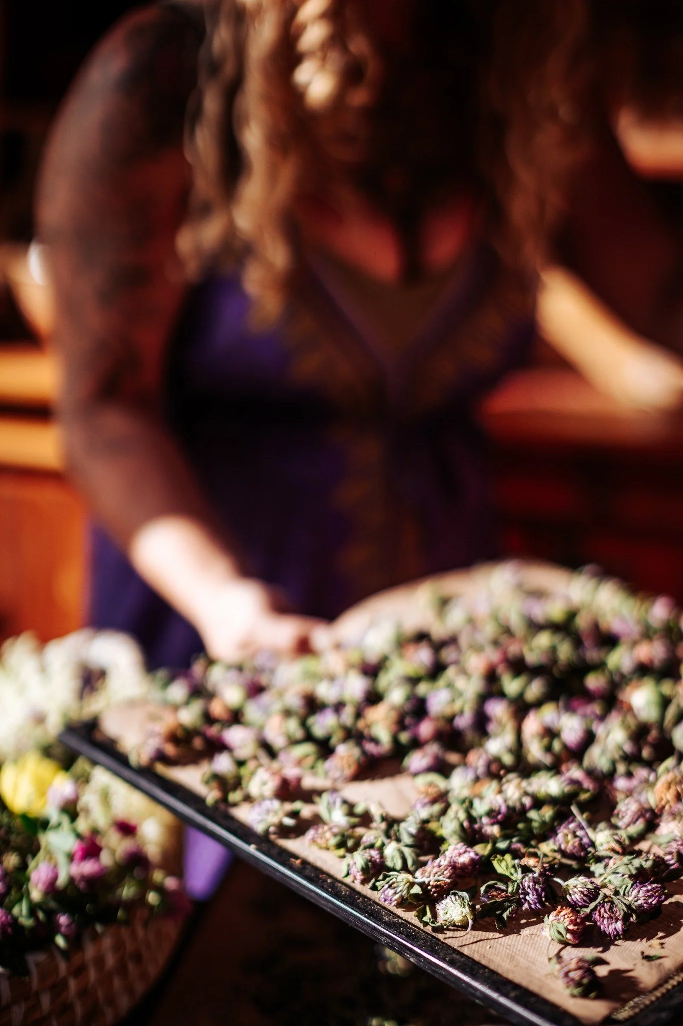 ✨The best way to DRY HERBS?

Herbs from rafters look cute. I am a fan, for the aesthetic...
But it is not the best way to dry your herbs!!

Here are a few tips to dry herbs well:

✨Keep away from sunlight when drying (yep, as DARK as you can get it!)