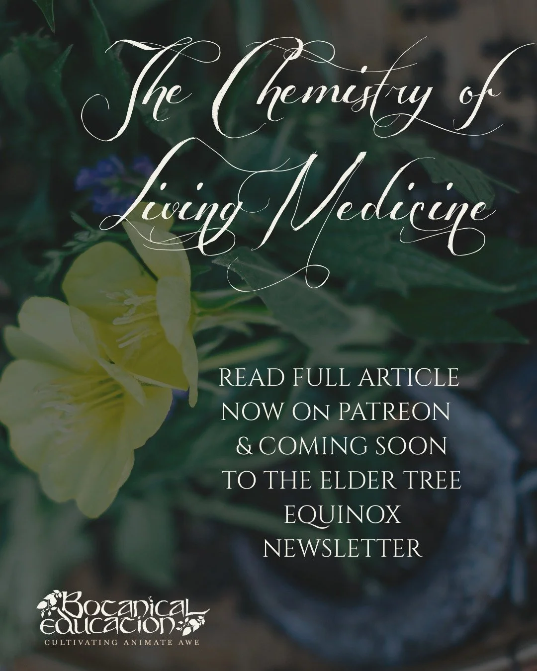 Chemistry is Magic to me. Always has been. 

I have recently been writing a column for @Th@the.elder.tree newsletter, which is a Constituents Column. 
A place where I can muse about the chemistry of living plants and their place in ecosystems; those 