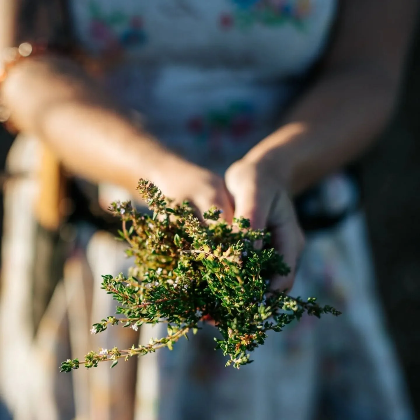 Does Herbalism work?! 

Many people think herbalism isn't effective because they haven't actually tried/had access to  QUALITY herbs. 

There are so many steps in the process of a tincture getting to you:

🌿 Growing &amp; Cultivation 
The way a plan