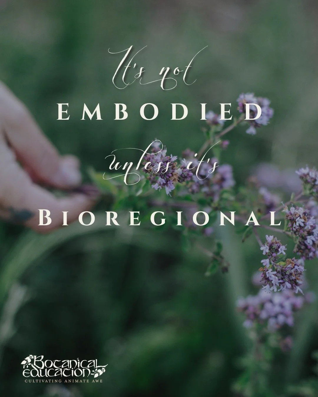 I'm Sick of the term Embodied...

Sometimes words can get so over-used they lose their meaning. 

Let's think of the term "Embodied Herbalism". 

Embodied
Embody/Embodying 

transitive verb

1: to give a body to (a spirit) : incarnate

2
a:
