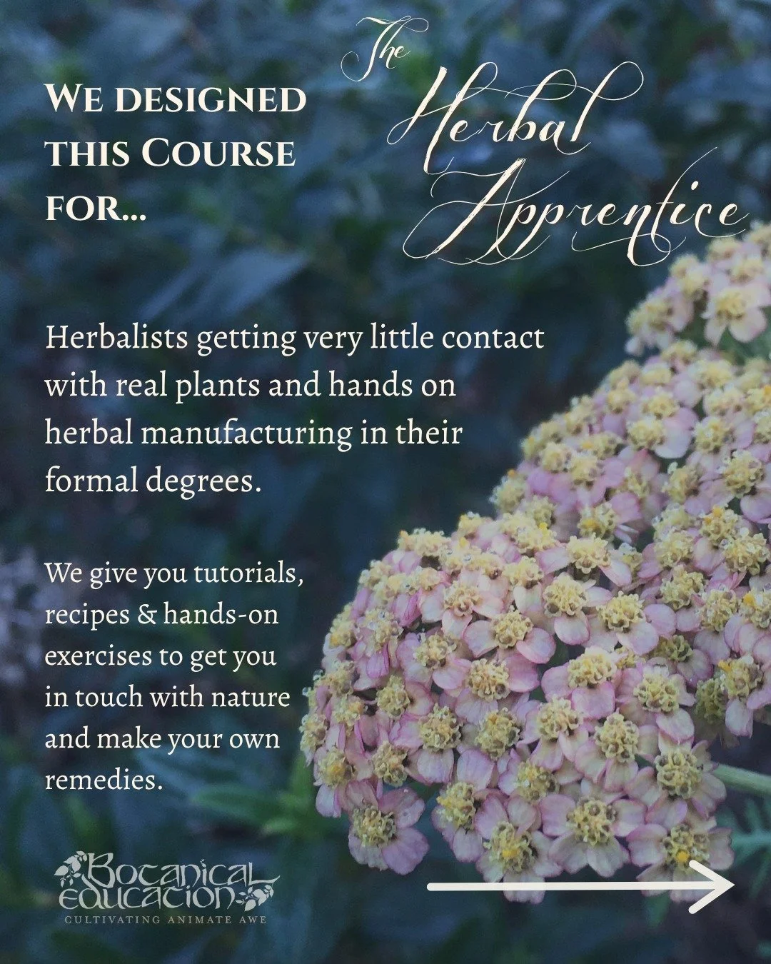 Is this you? 

Learn HOW HERBALISM WORKS, not just WHAT HERBS DO. 

For the Herbalists who want the enchantment, without losing the science, and visa versa. 

For those who buy herb books, only to not retain the information. 

For Herbalists that nev