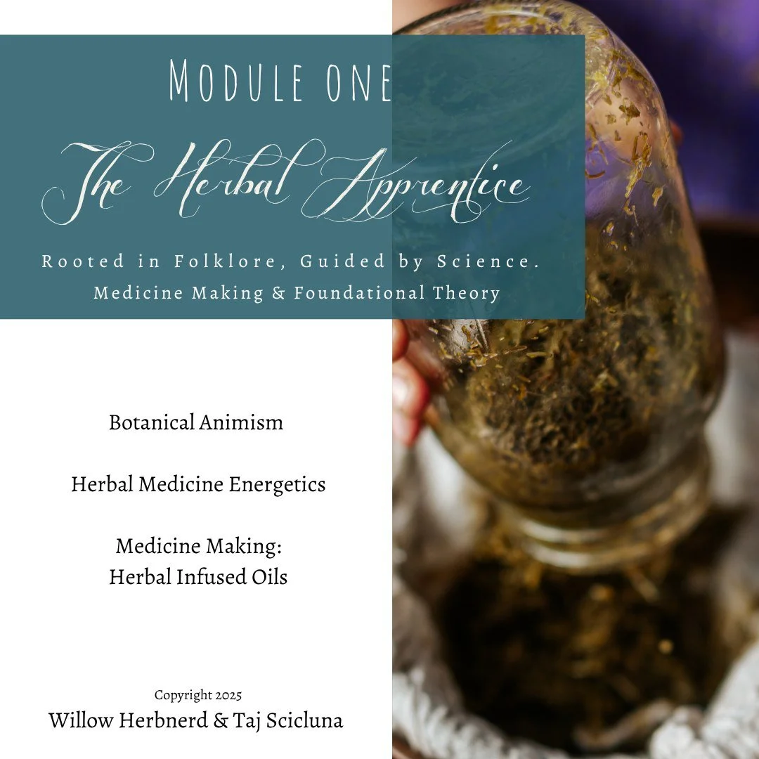 What we are taught to ignore&hellip;

The subtly, the sensitivity, the intelligence of nature. 

The Herbal Apprentice Online
MODULE ONE

Botanical Animism
Most people are drawn to herbal medicine because there is a particular  feel to plants that he