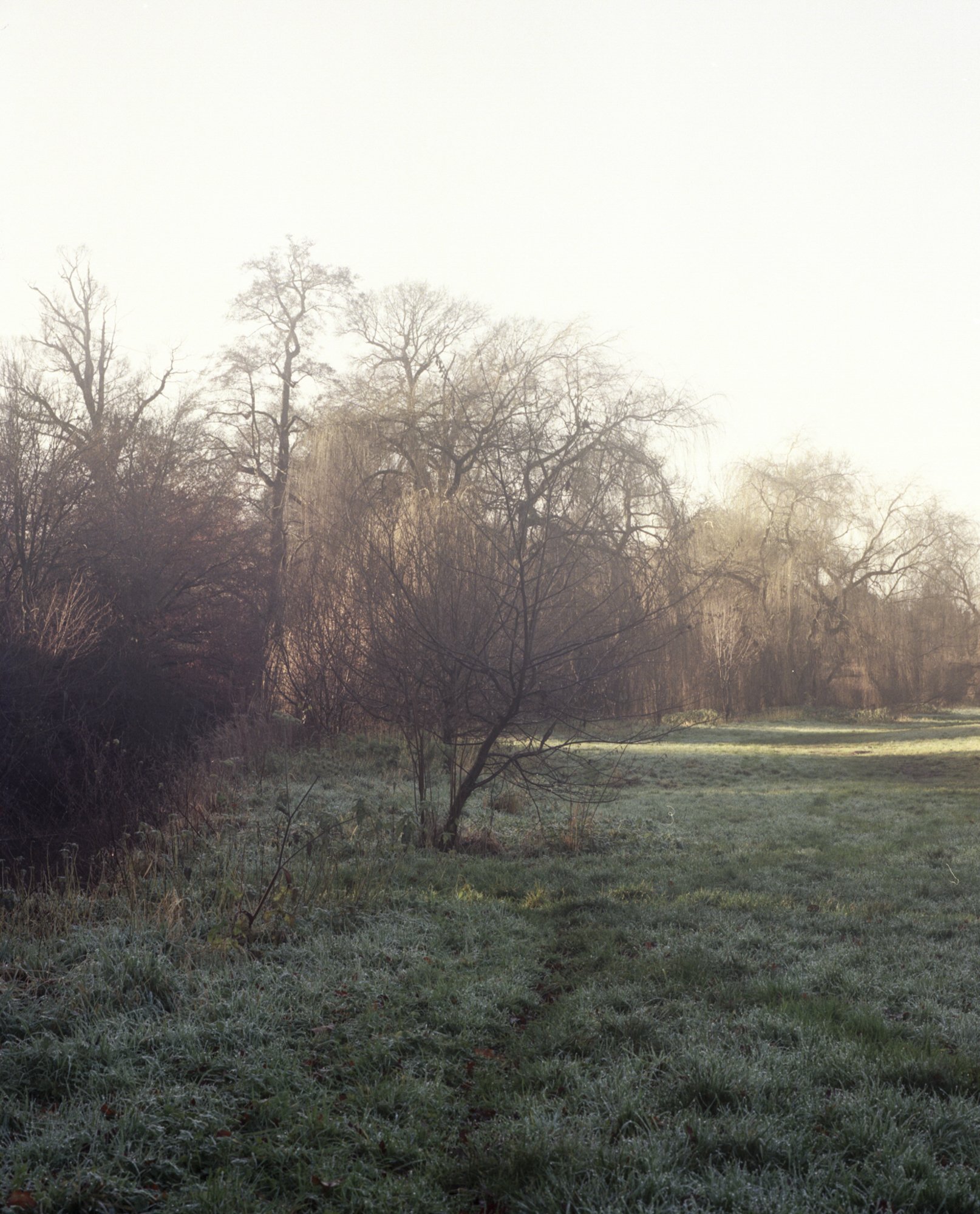 Meadows-MiniSeries-Fianls-8.jpg