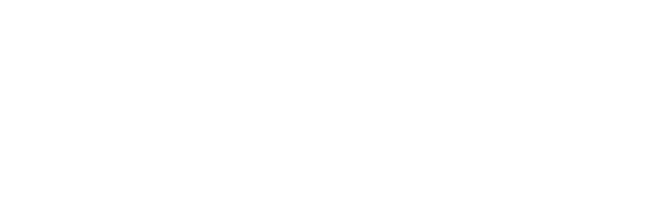 The Irish Nation