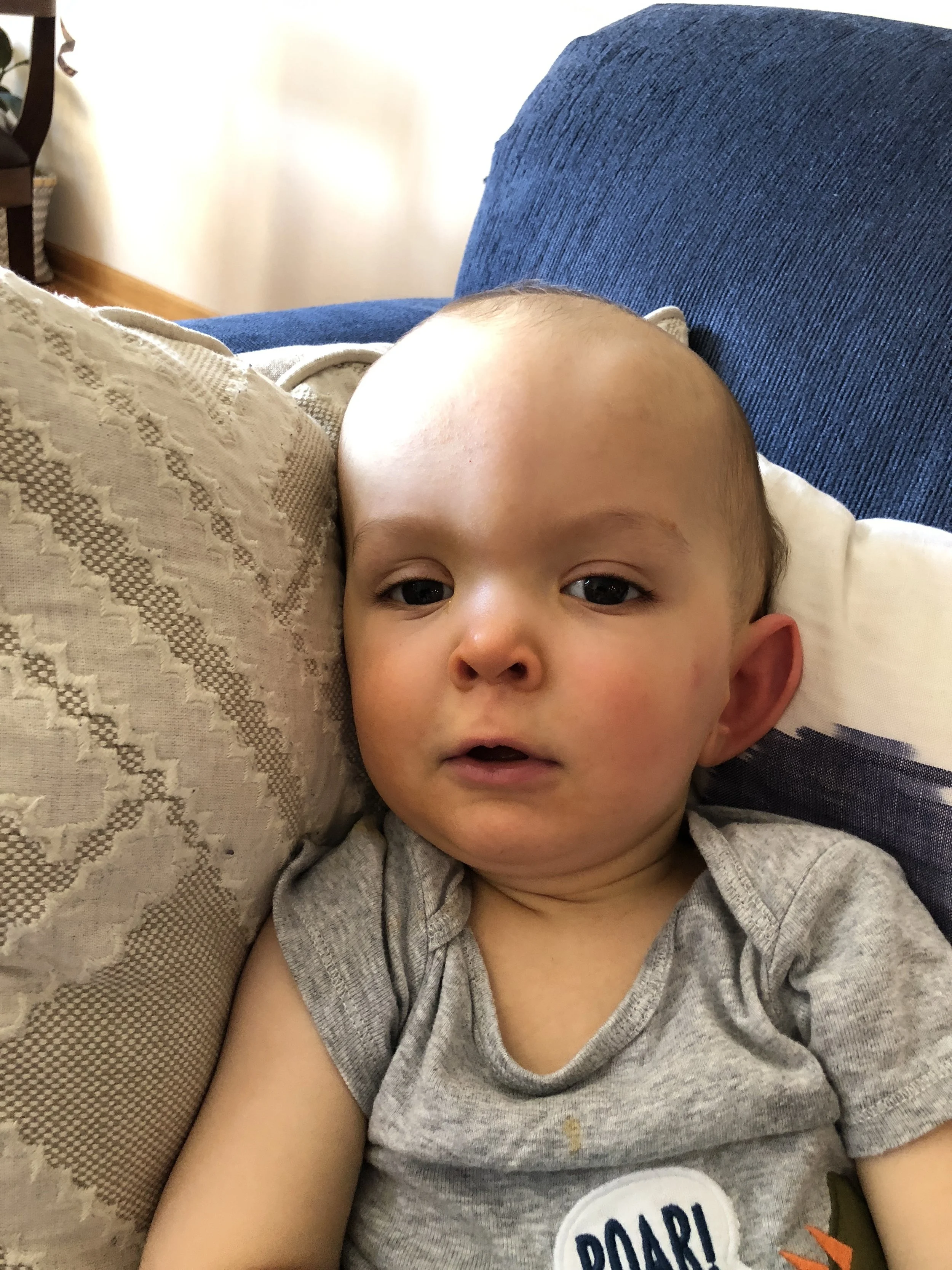 Meet Theo