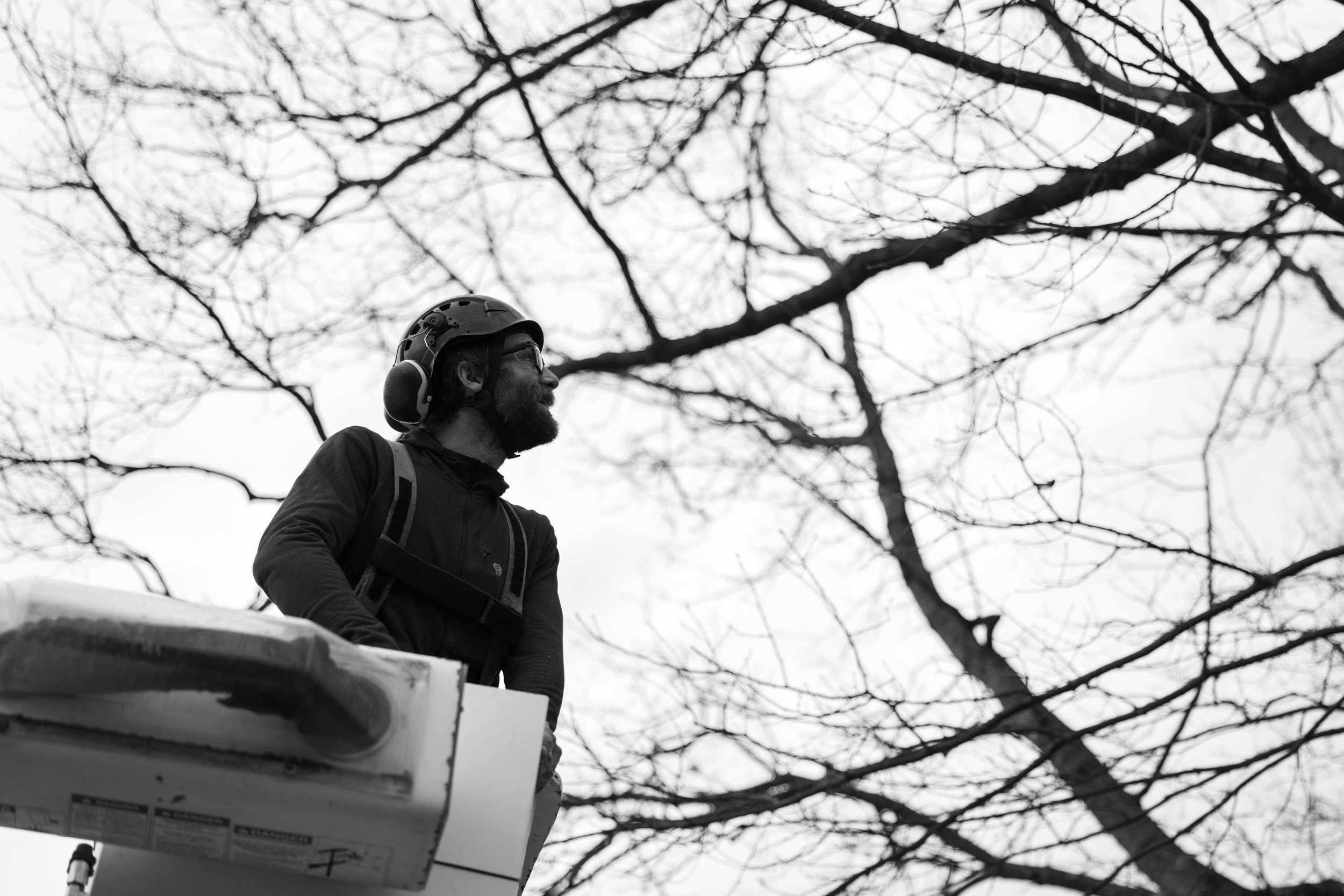 SHERWOOD TREE CARE_DAY2_17.jpg