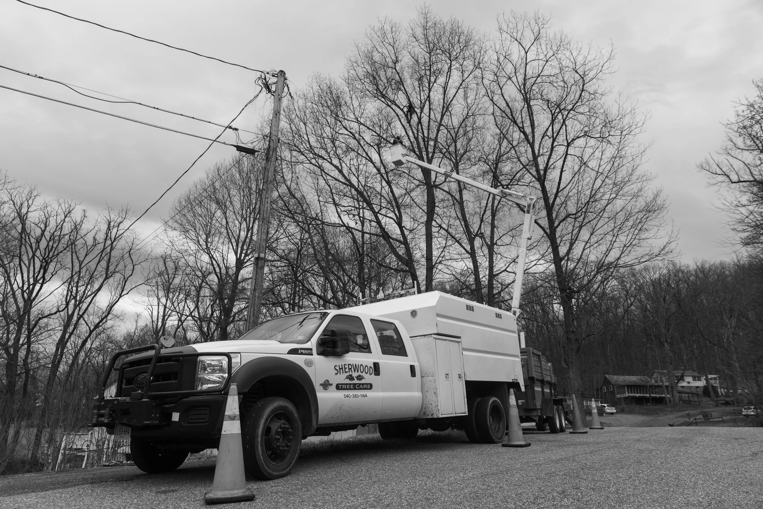 SHERWOOD TREE CARE_DAY2_2.jpg