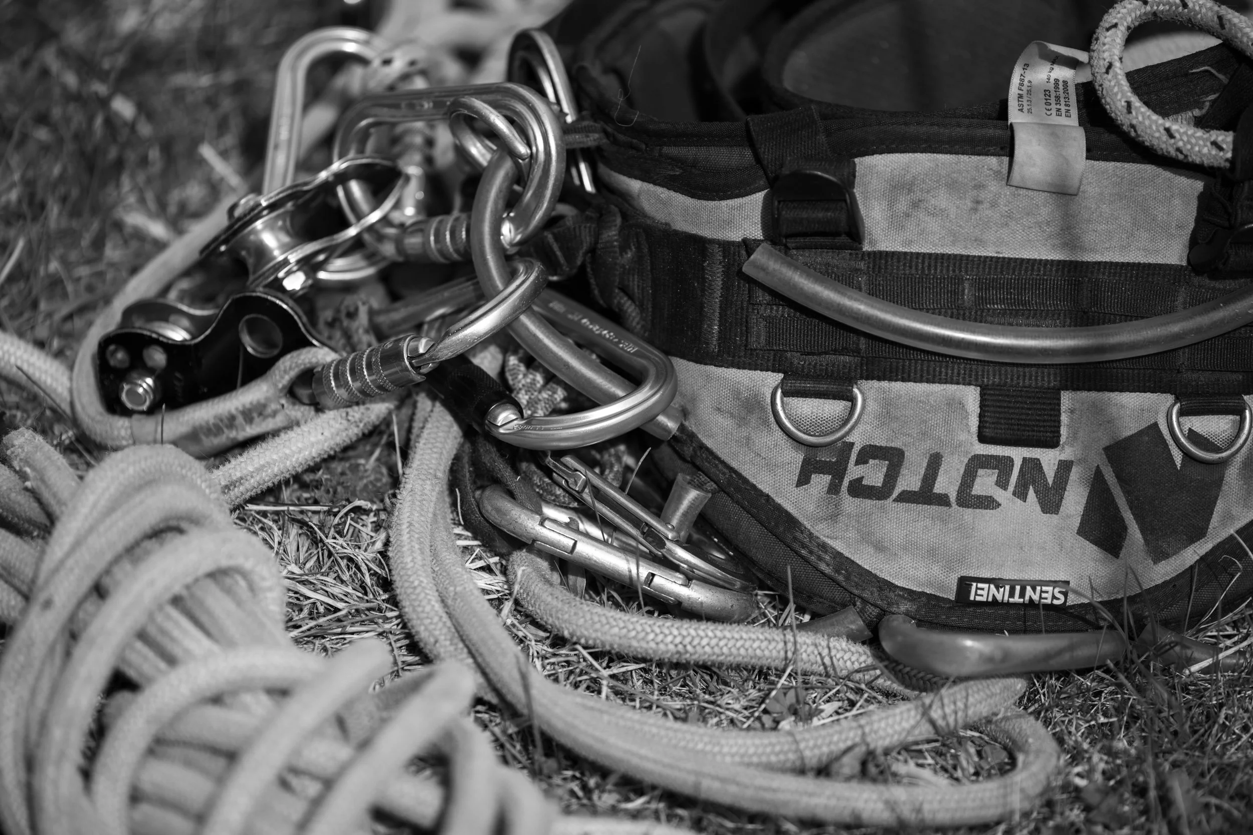 SHERWOOD TREE CARE_DAY2_58.jpg