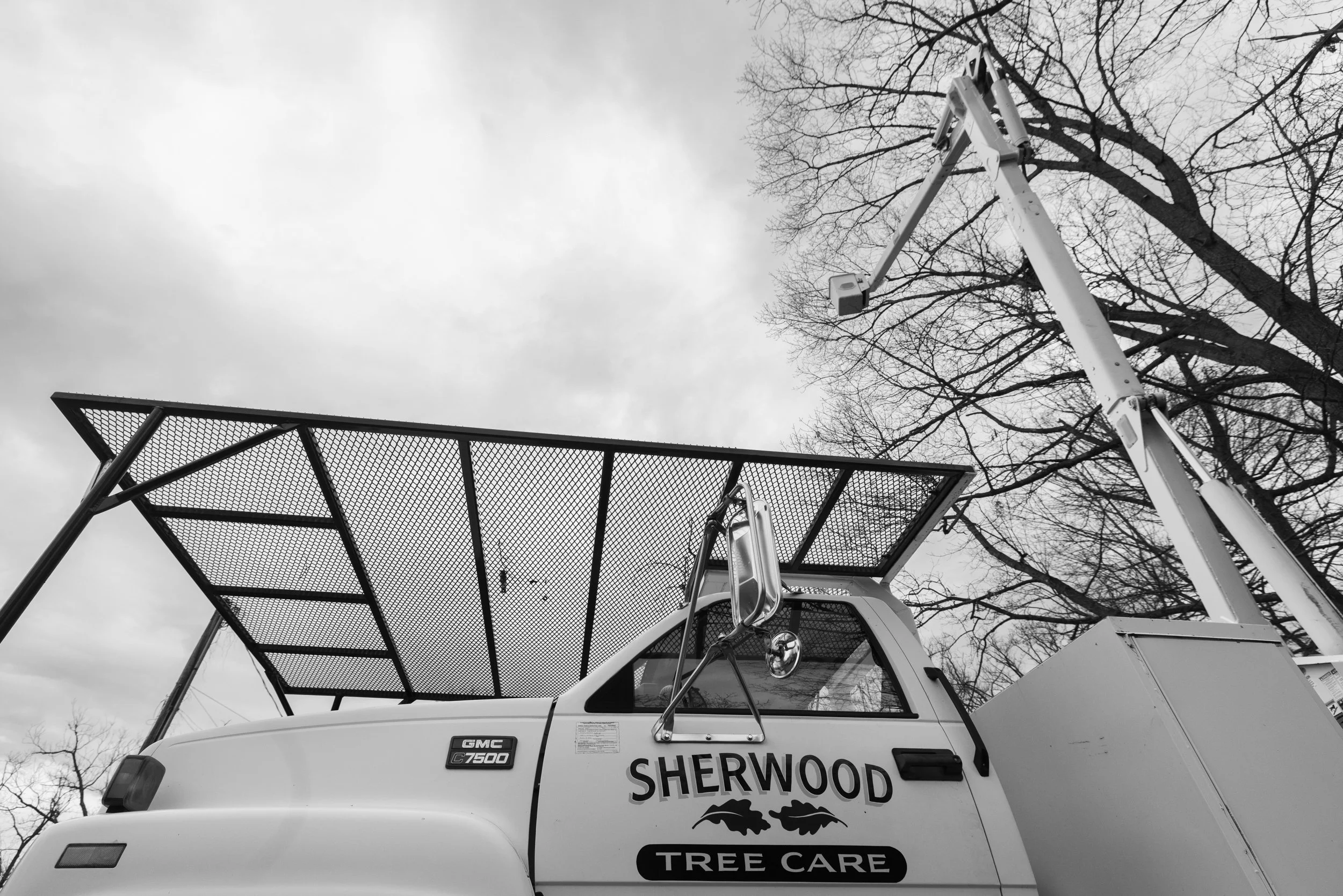 SHERWOOD TREE CARE_DAY2_23.jpg