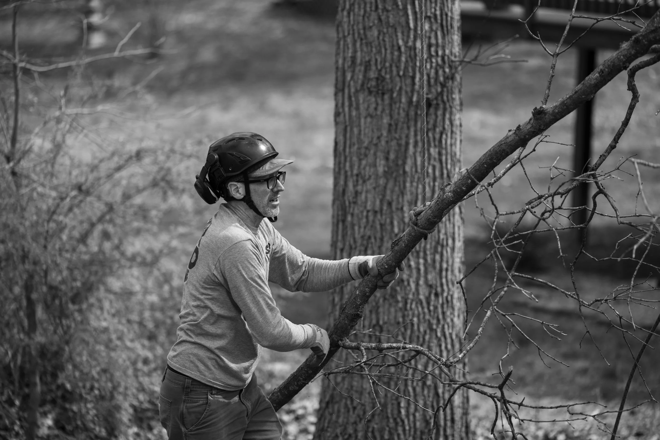 SHERWOOD TREE CARE_DAY2_66.jpg